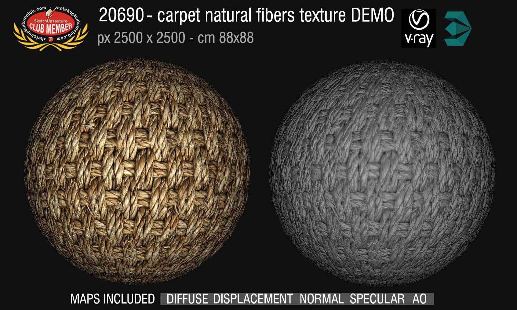 20690 Carpeting natural fibers texture DEMO