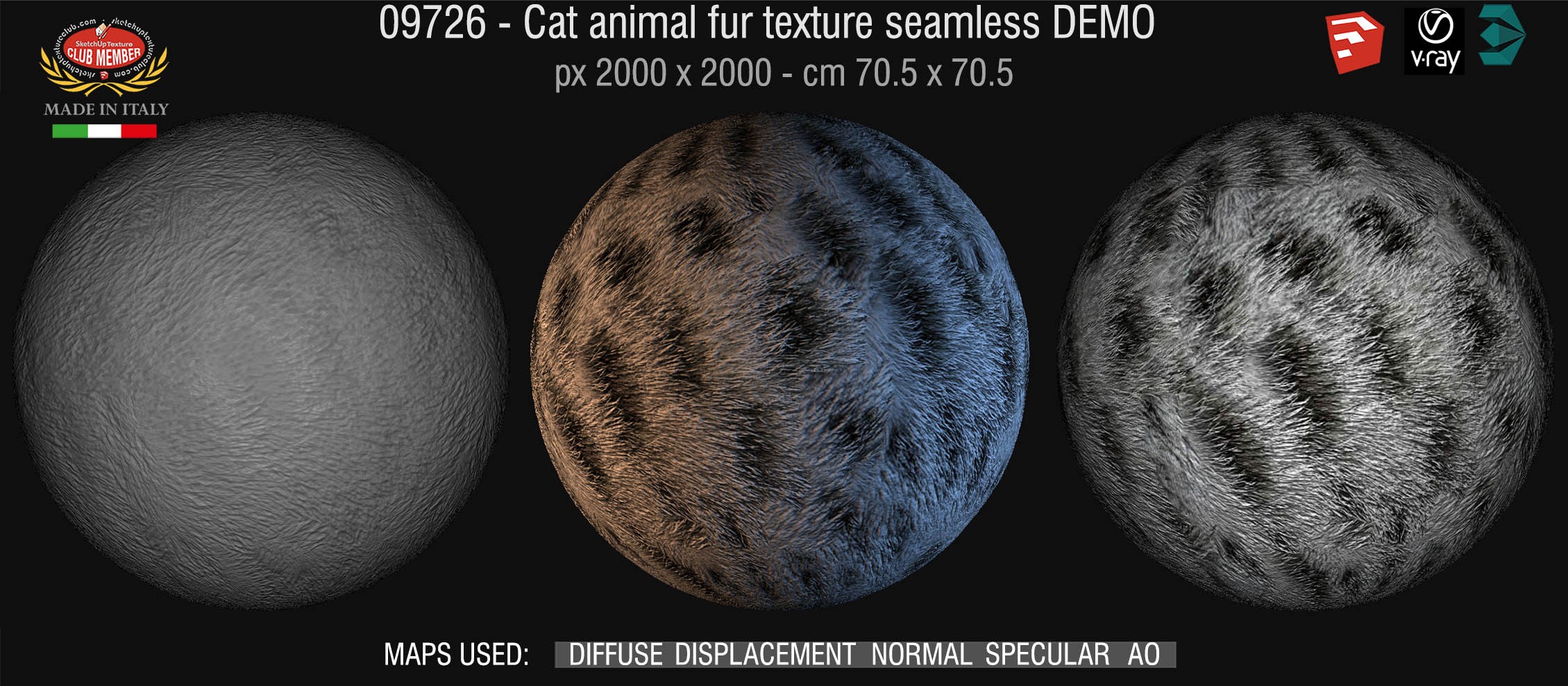 09726 HR Cat animal fur texture + maps DEMO