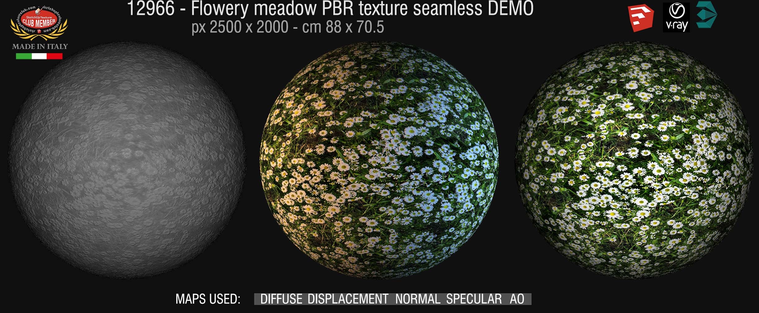 12966 Flowery meadow PBR texture seamless DEMO