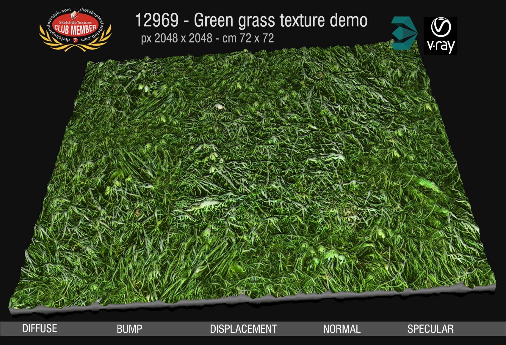 12969 Green grass texture seamless & maps DEMO