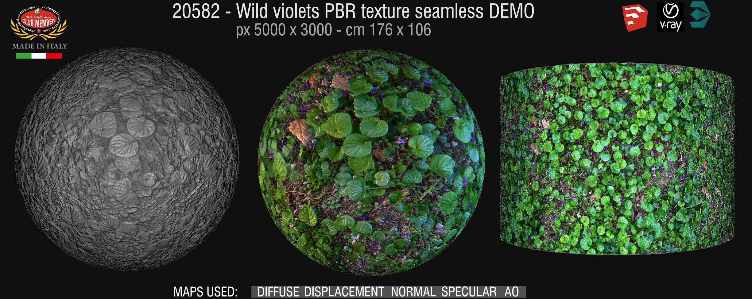 20582 Wild violets PBR texture seamless DEMO