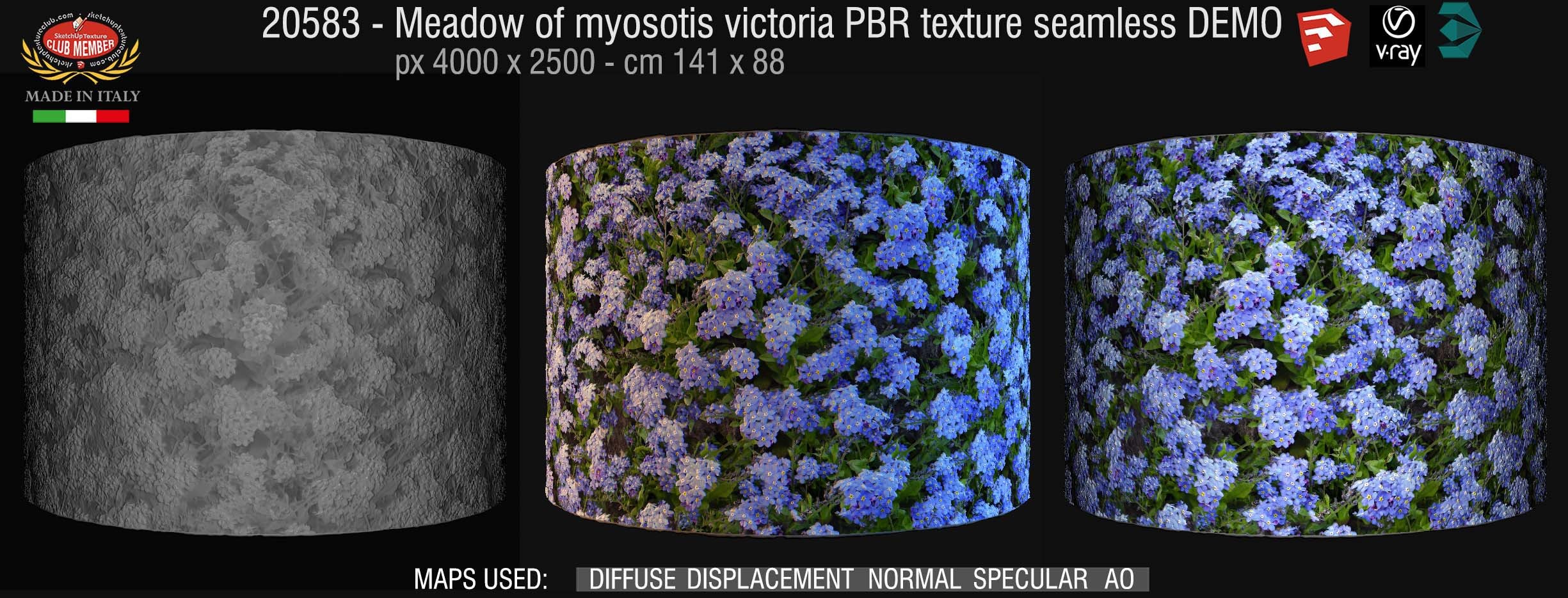 20583 Meadow of myosotis victoria PBR texture seamless DEMO