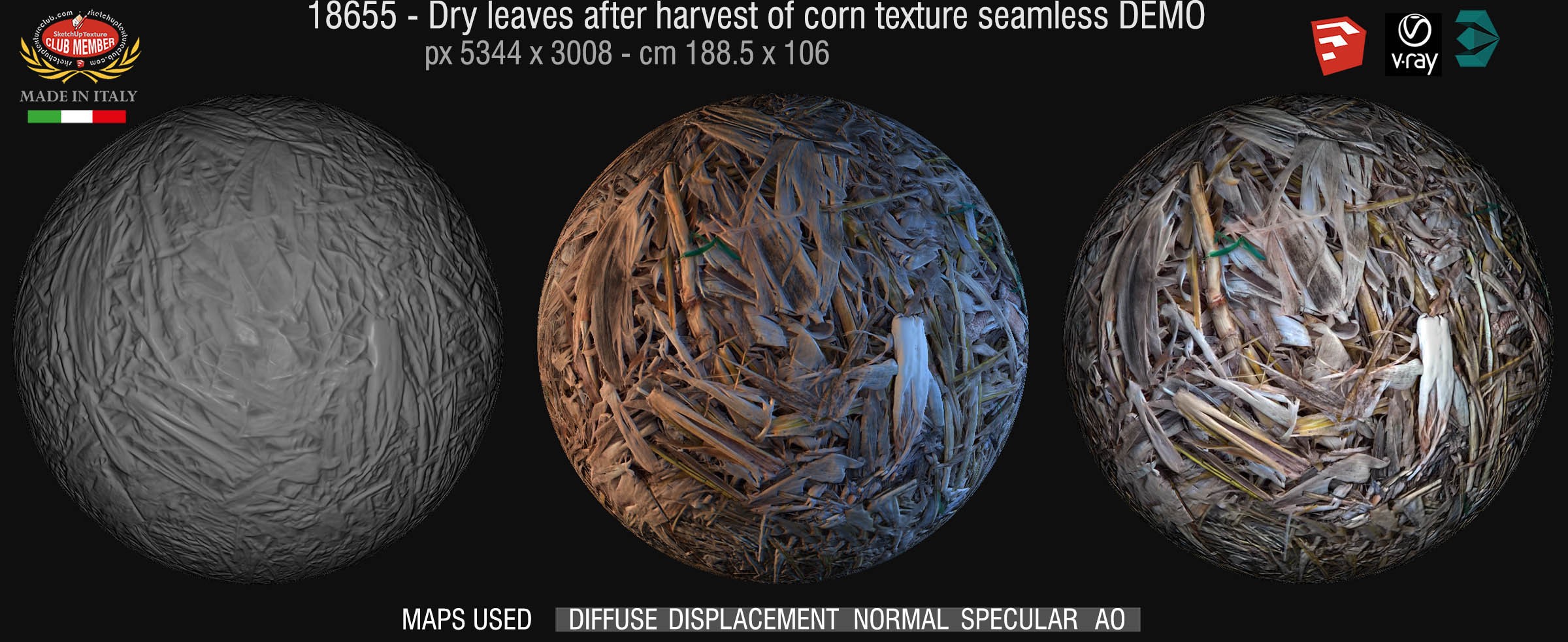 18655 Dry leaves after harvest of corn texture seamless + maps DEMO