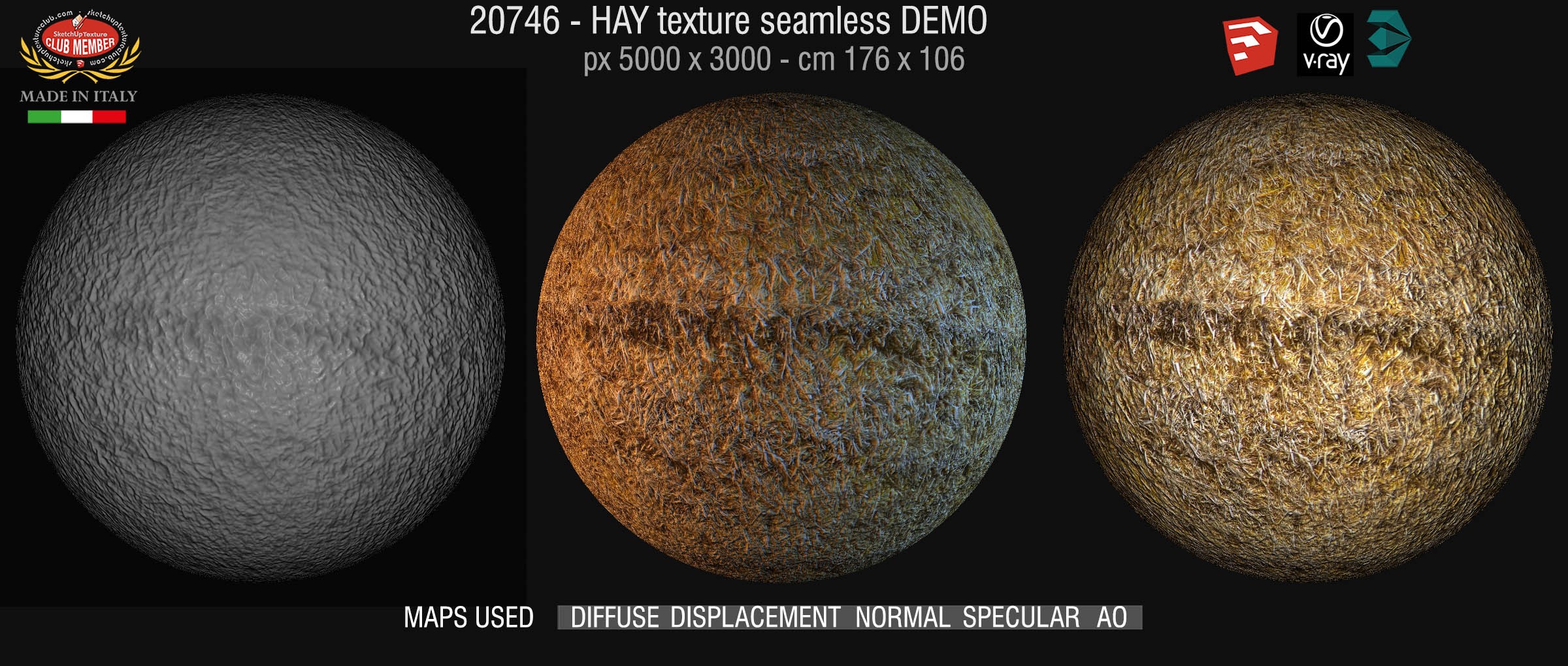 20746 Hay texture seamless & maps DEMO