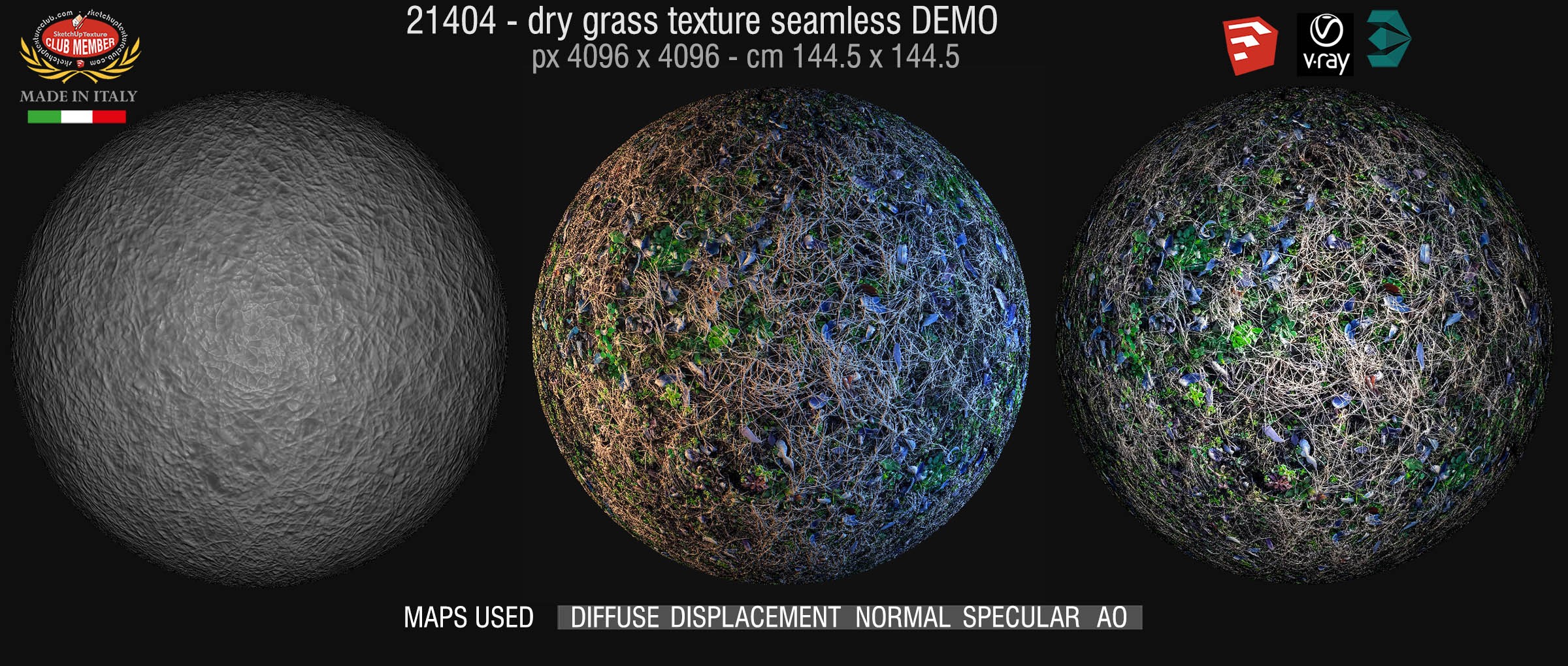 21404 dry grass texture seamless + maps DEMO
