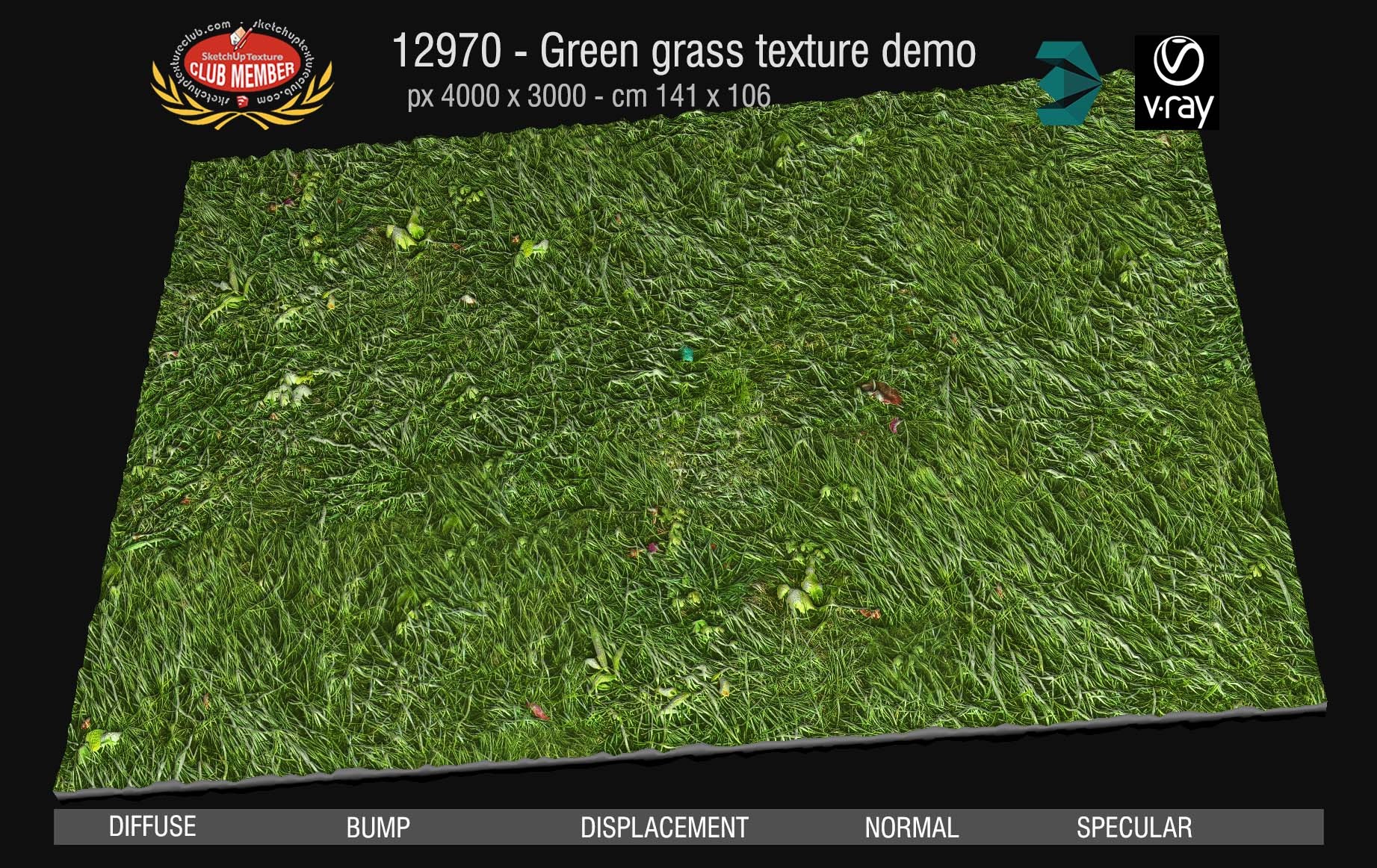 12970  Green grass texture seamless & maps DEMO