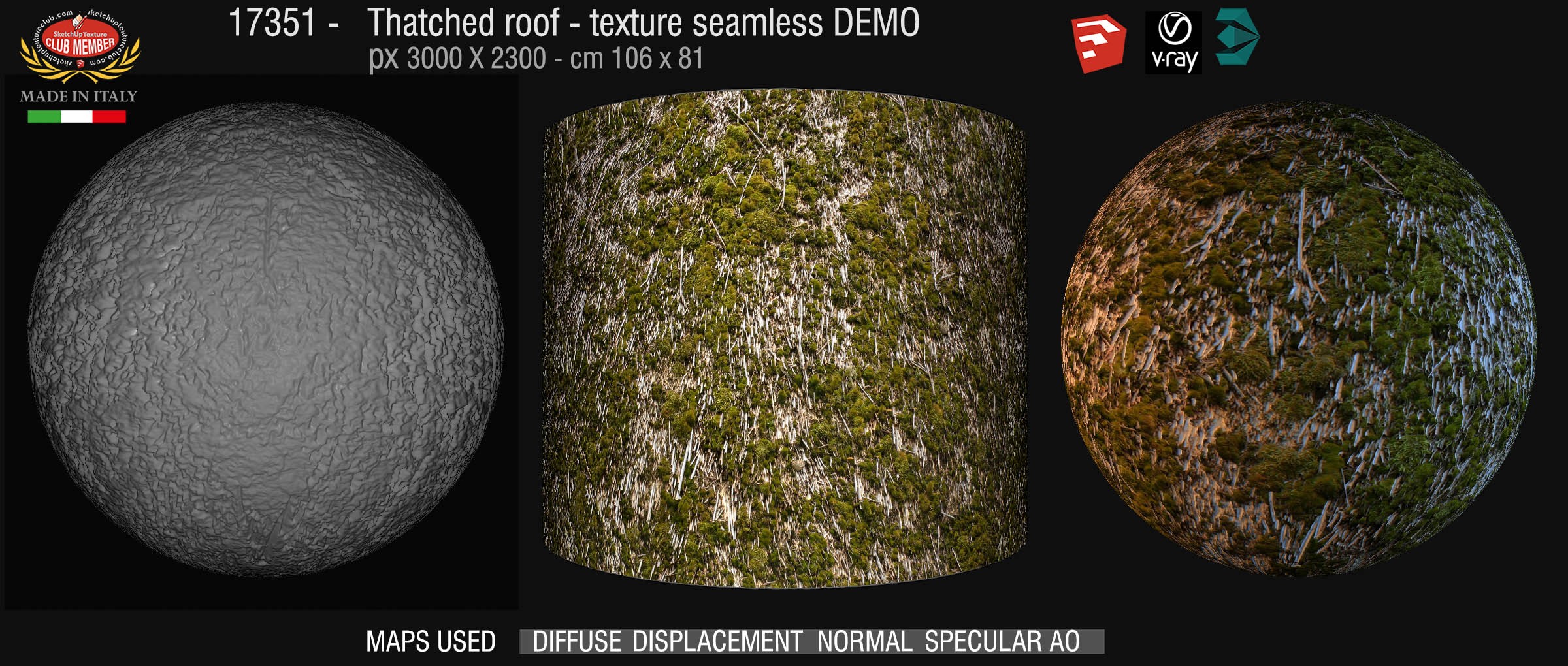 17351 Thatched roof texture seamless + maps DEMO