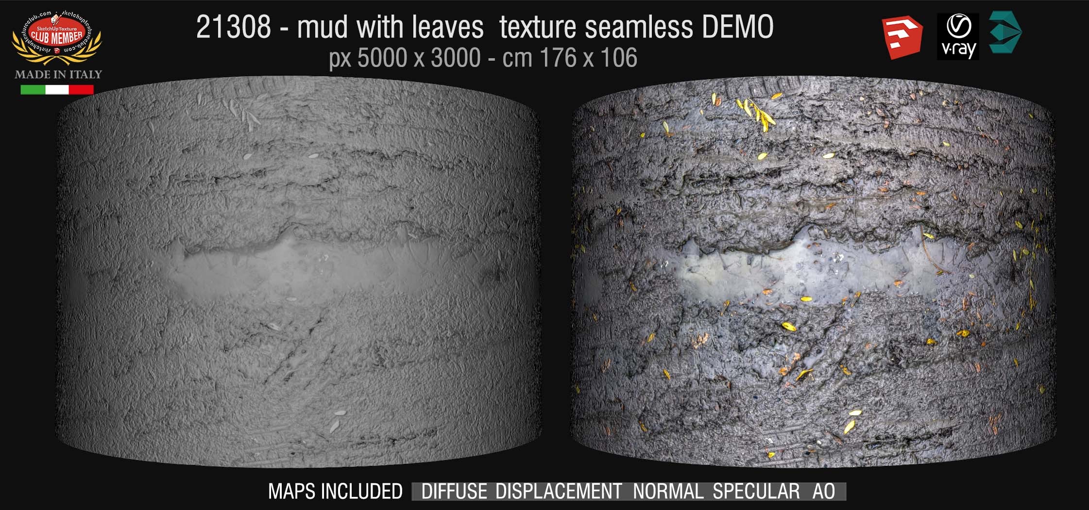 21238 high resolution Mud with leaves texture seamless + maps DEMO