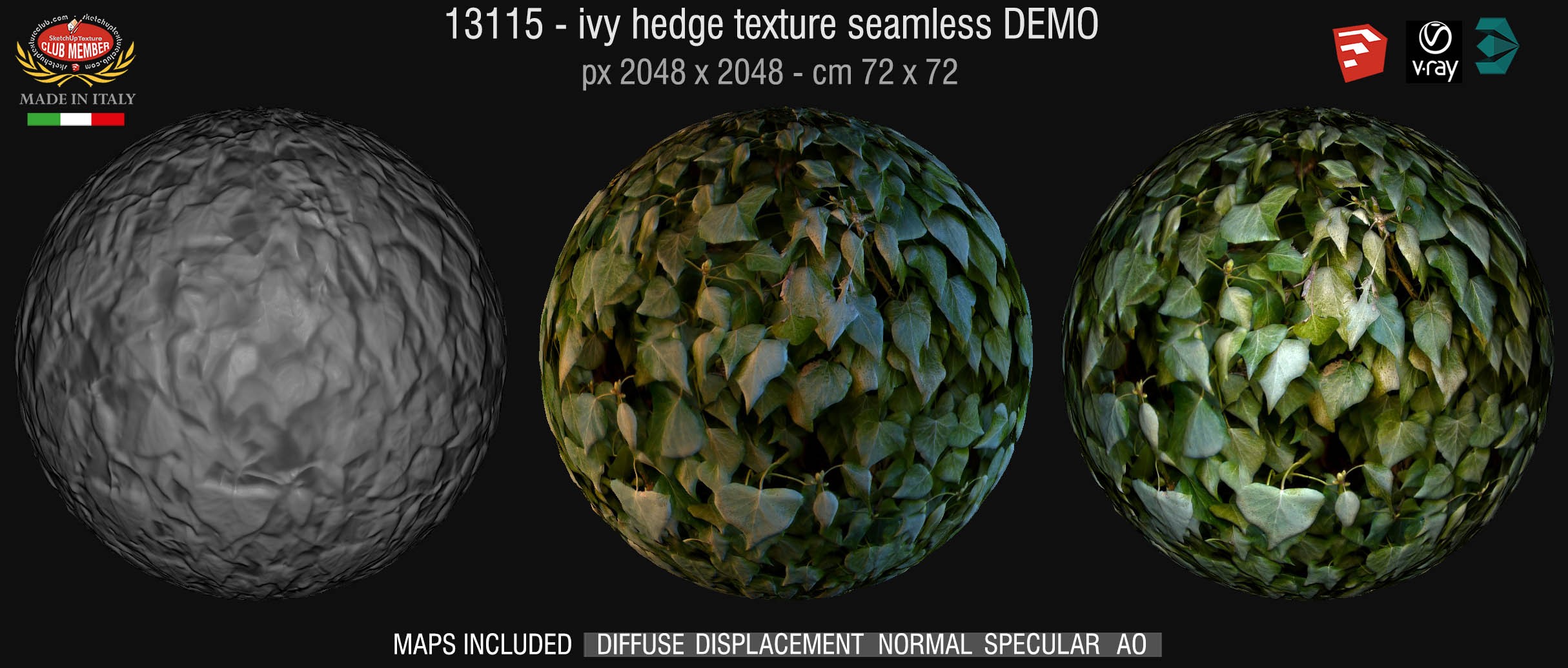 13115 HR Ivy hedge texture + maps DEMO