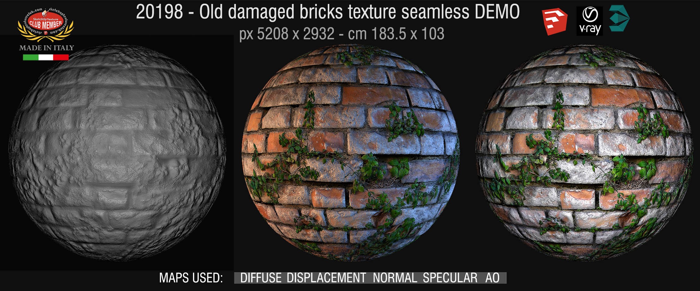 20198 HR Old damaged wall bricks with grass texture seamless + maps DEMO