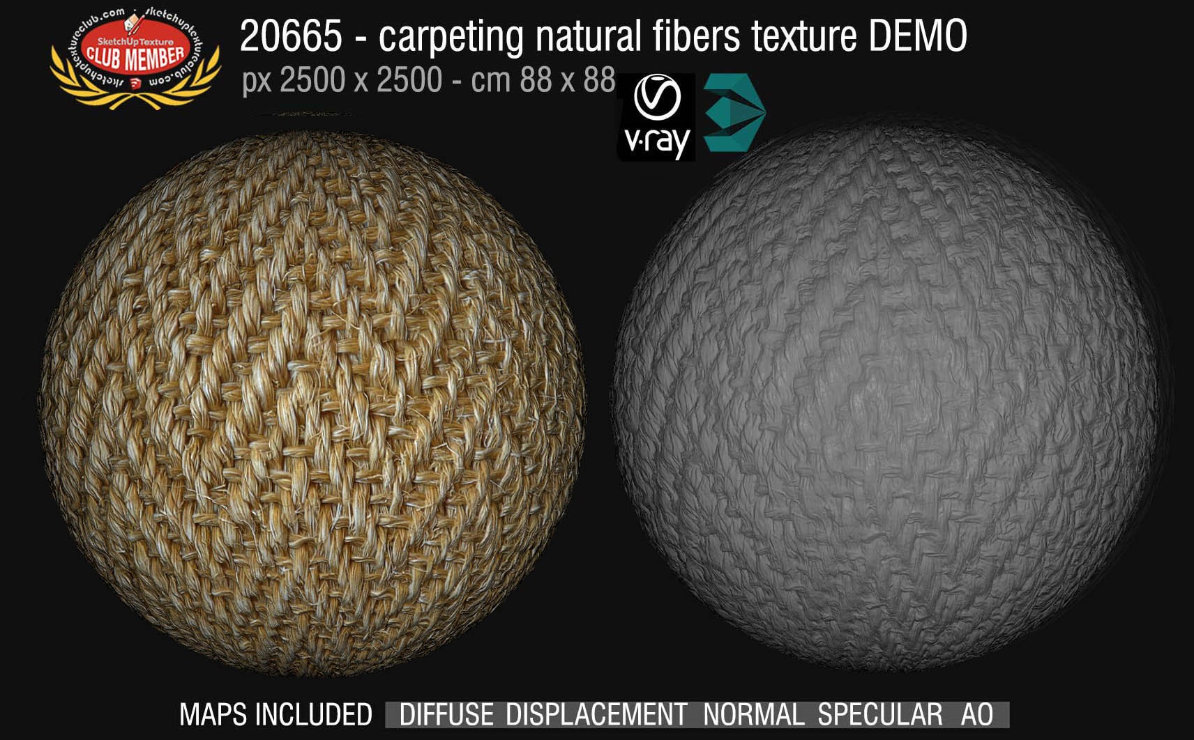20665  Carpeting natural fibers texture DEMO