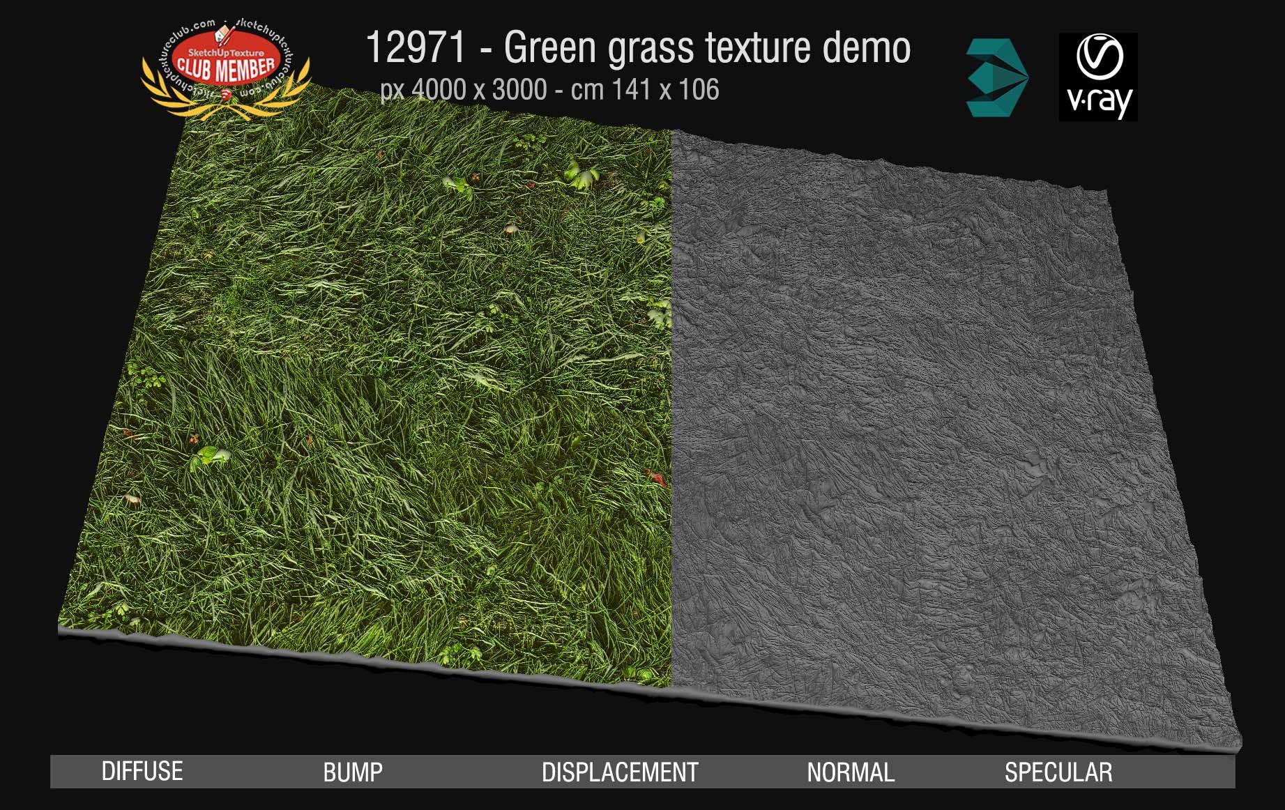 12971 Green grass texture seamless & maps DEMO