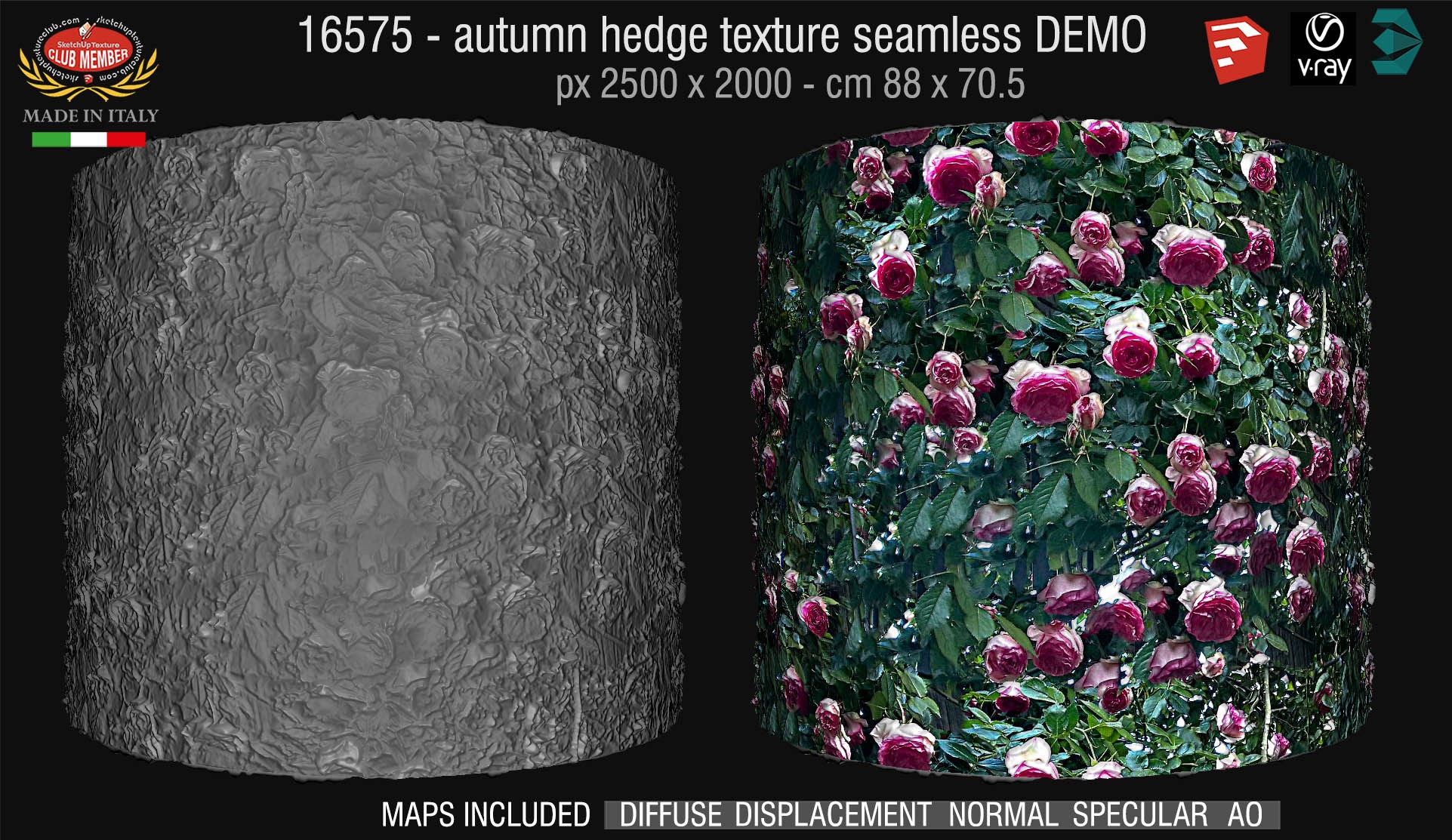 16576 HR Hedge of roses texture + maps DEMO