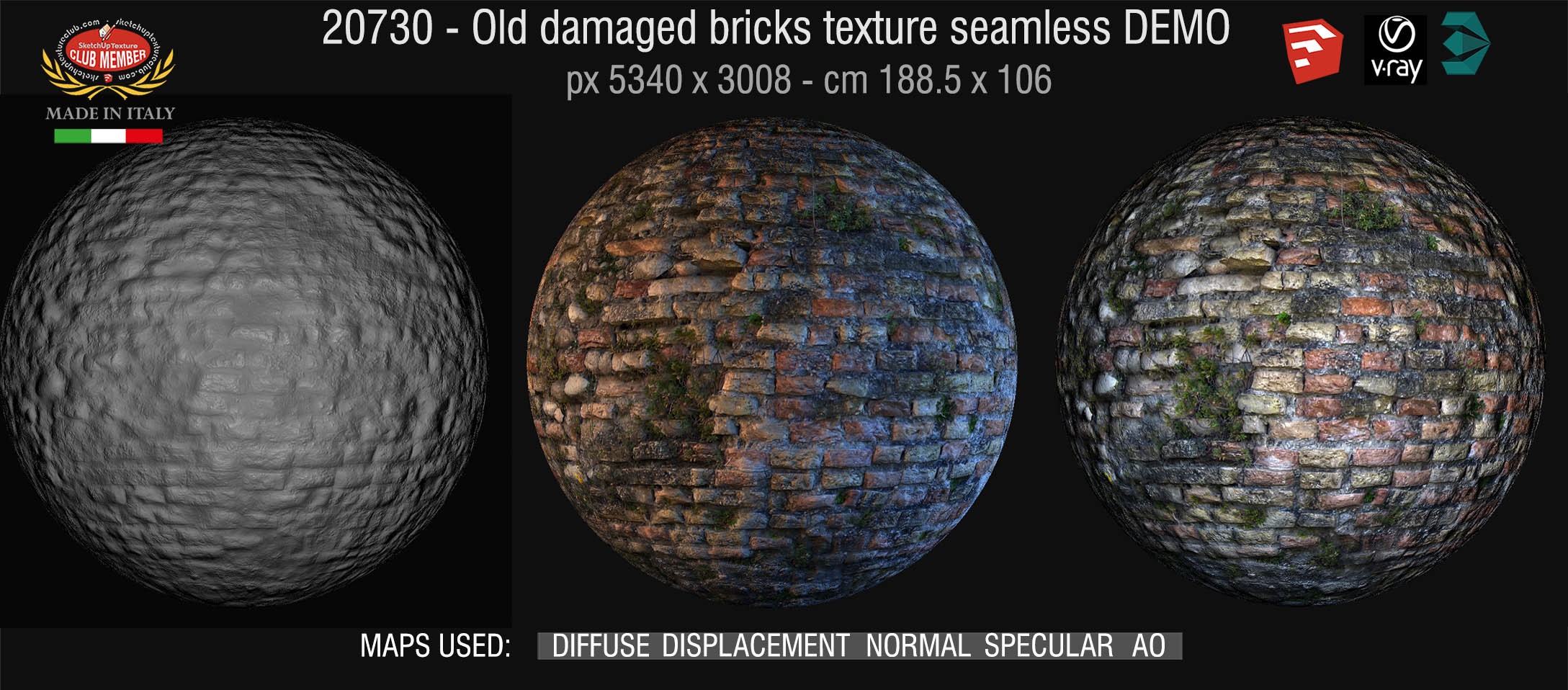 20730  Old damaged wall bricks texture DEMO