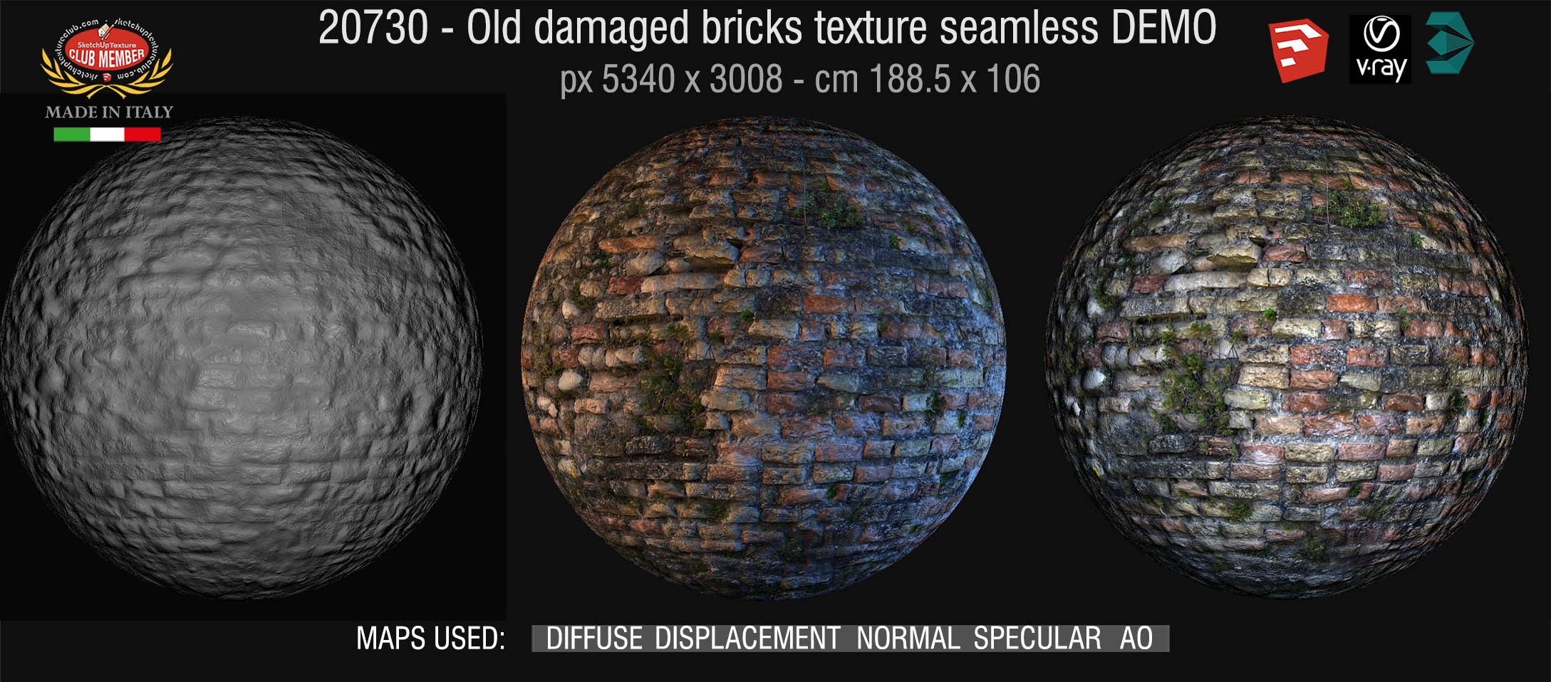 20730  Old damaged wall bricks texture DEMO