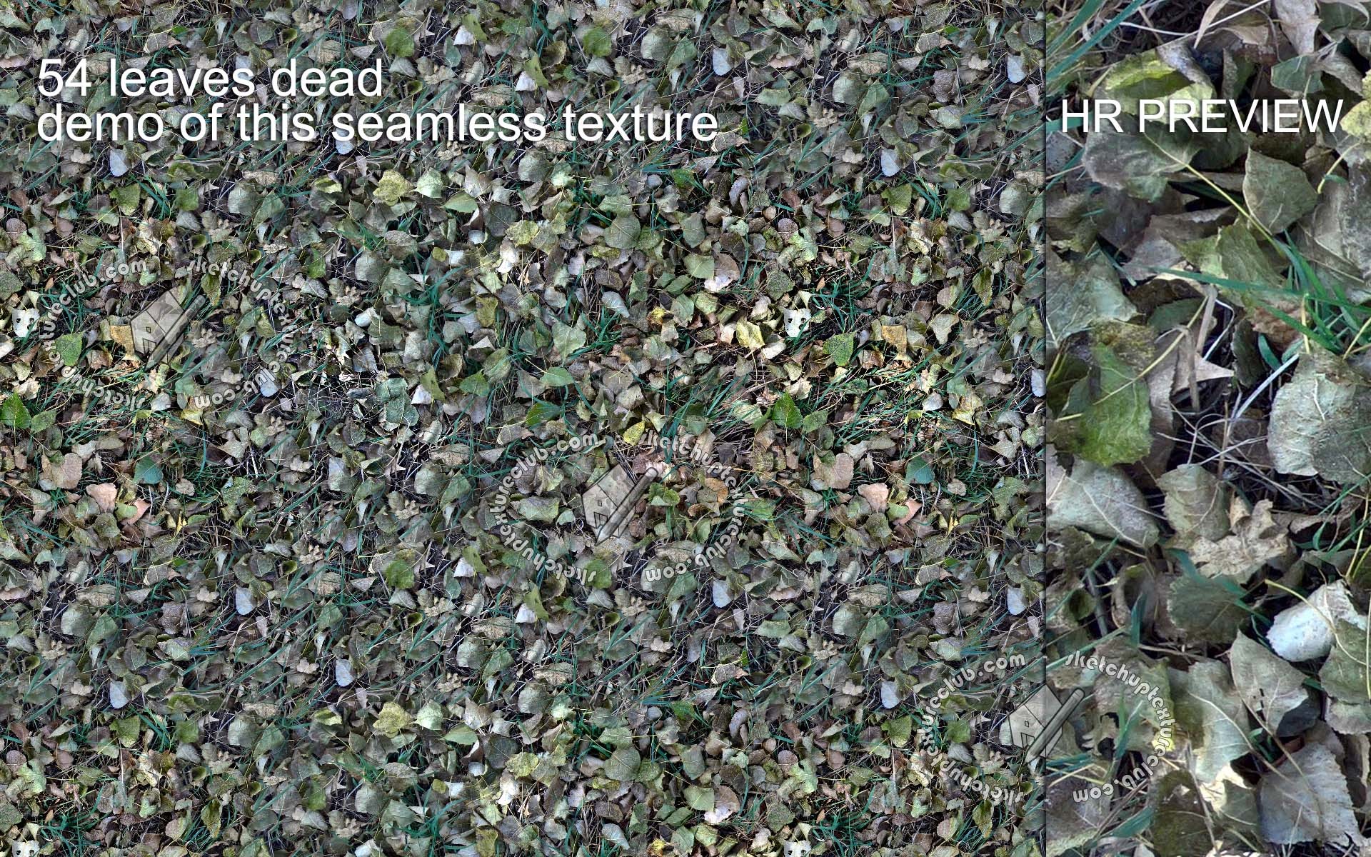 demo 54_leaves dead texture-seamless