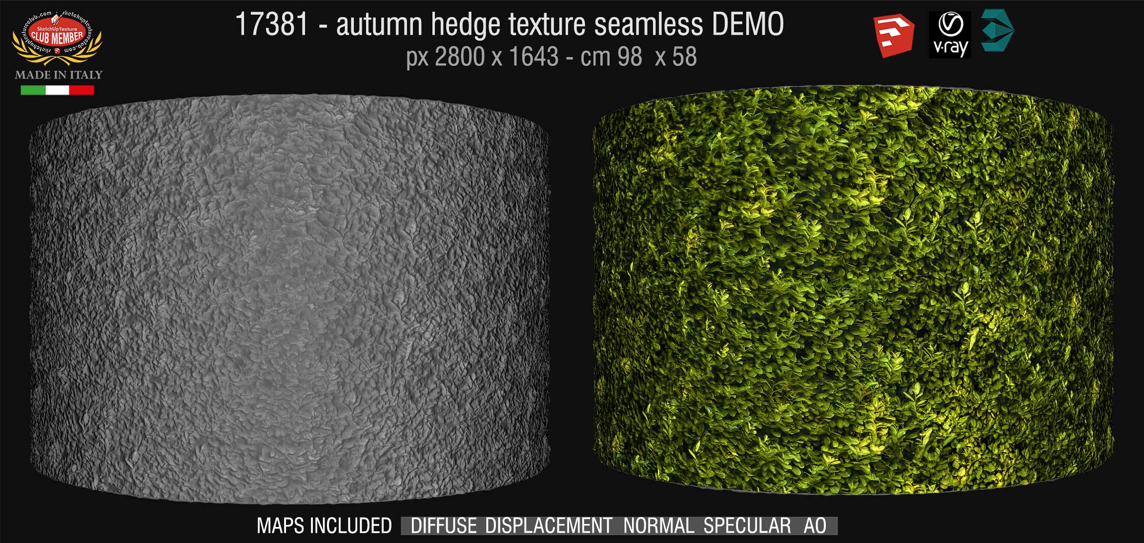 17381 HR autumn hedge texture + maps DEMO