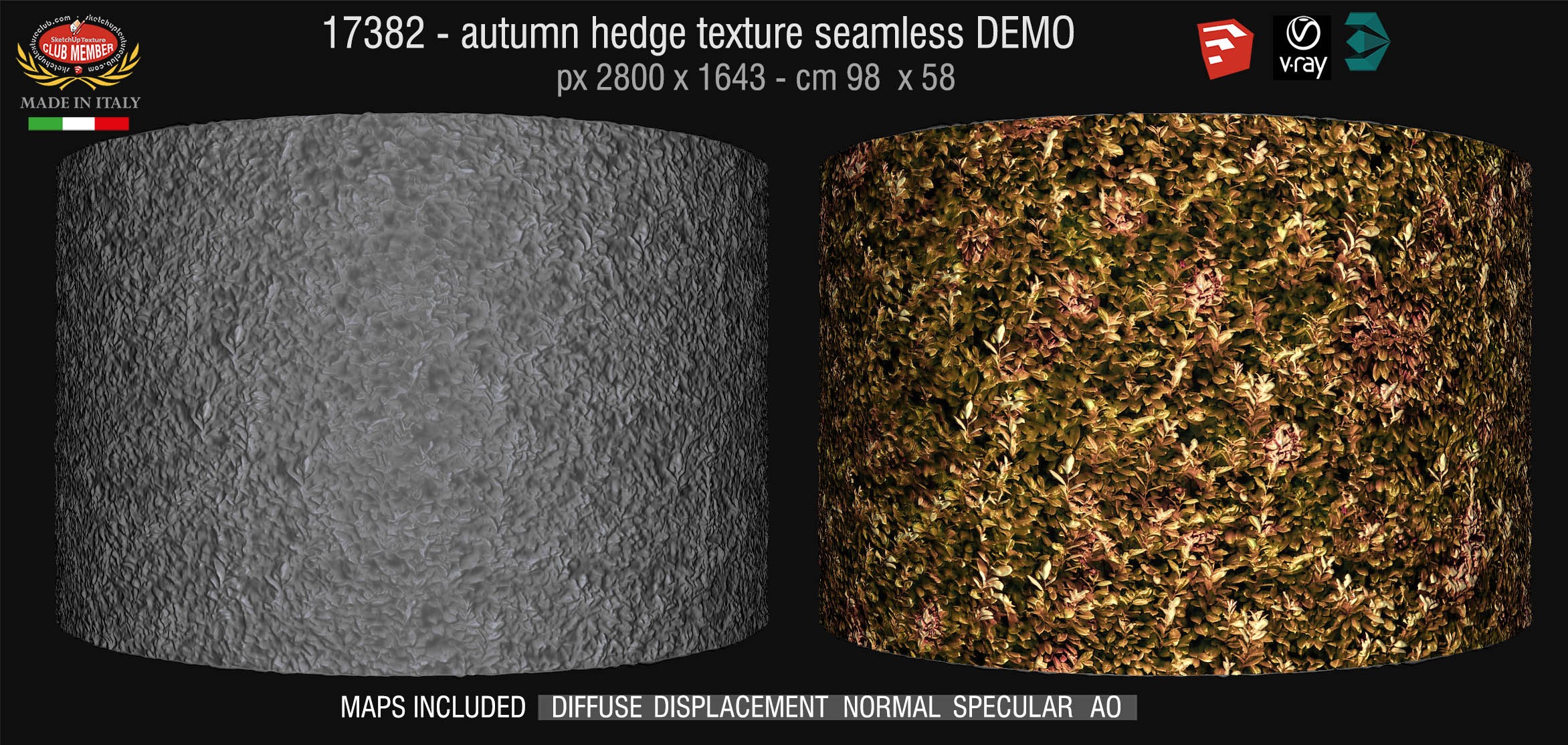 17382 HR autumn hedge texture + maps DEMO