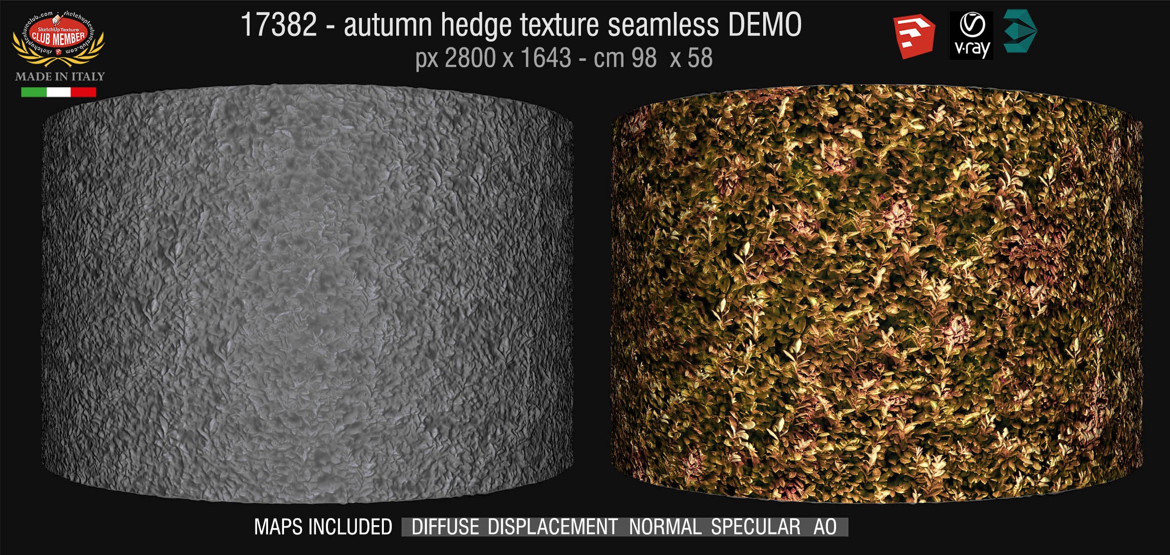 17382 HR autumn hedge texture + maps DEMO