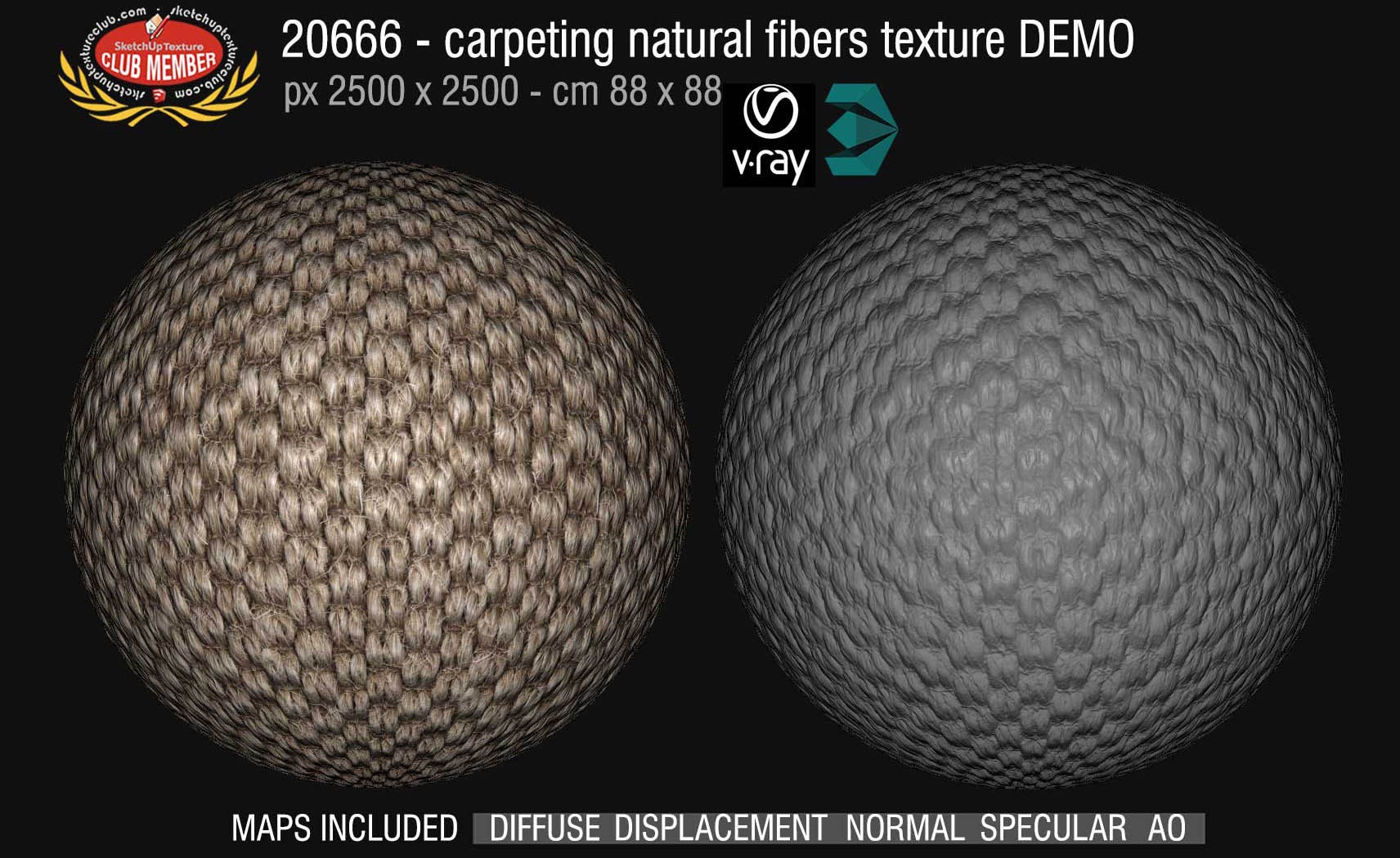 20666 Carpeting natural fibers texture DEMO