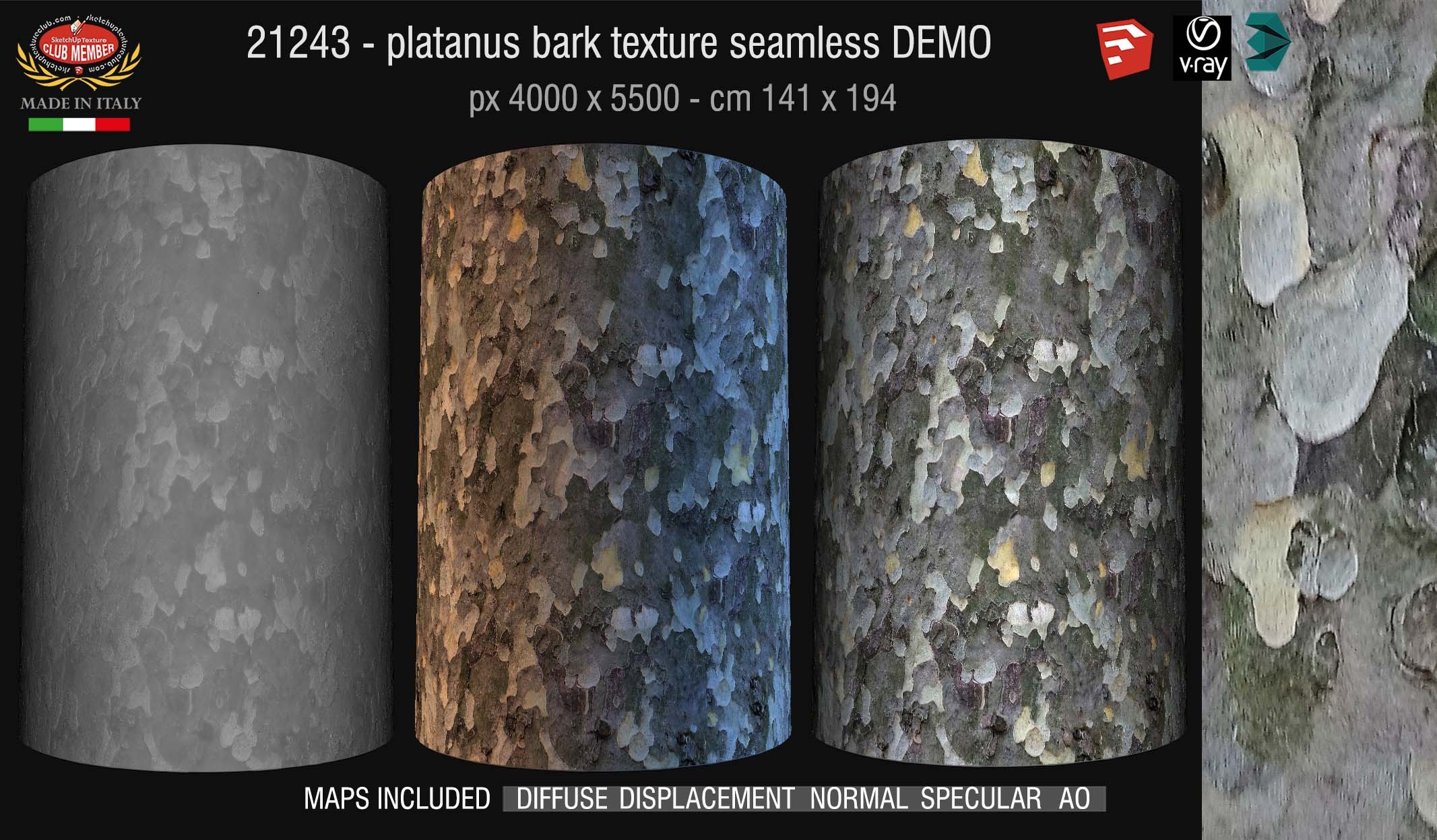 21243 Platanus bark texture seamless + maps DEMO