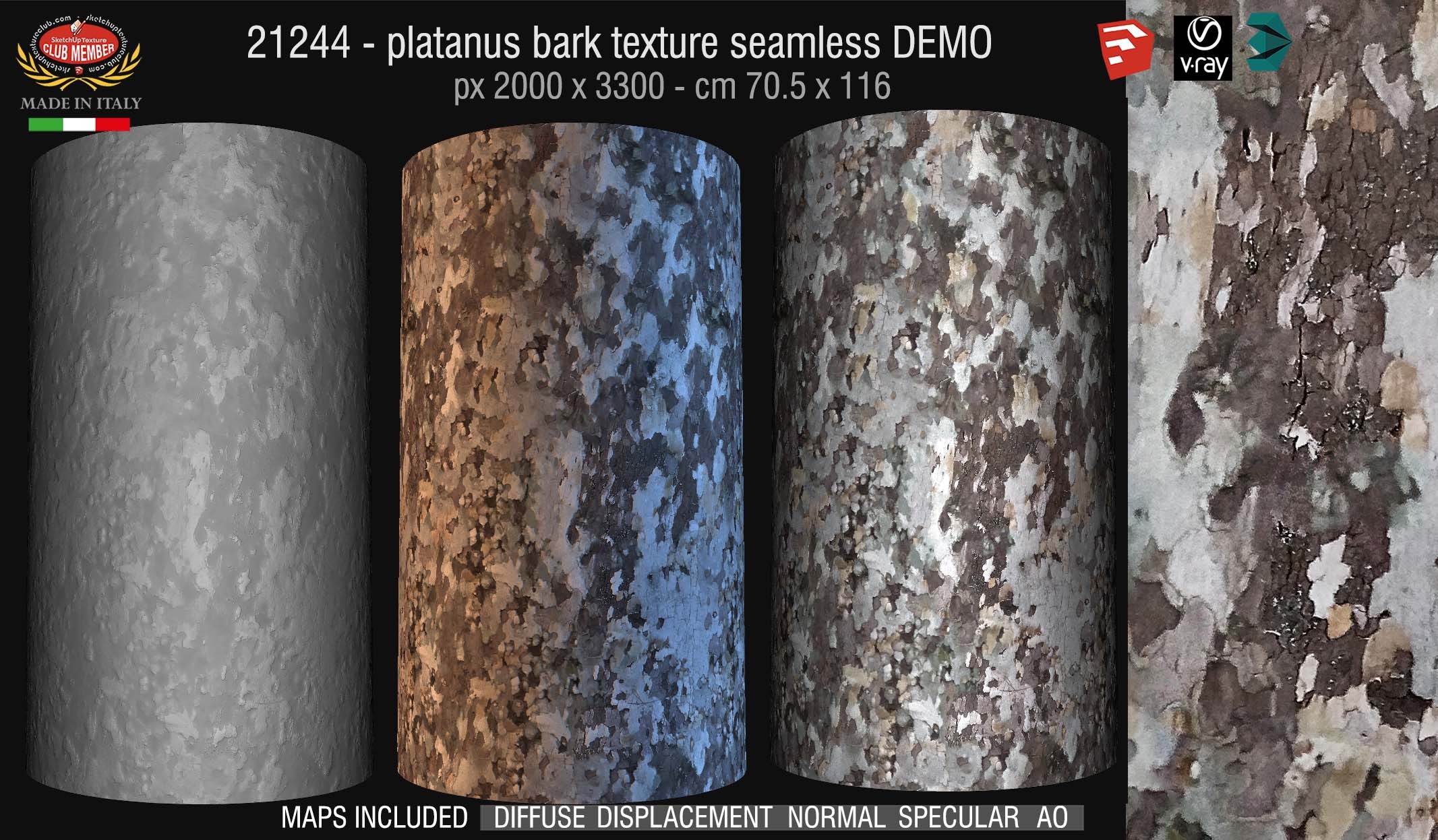 21244 Platanus bark texture seamless + maps DEMO