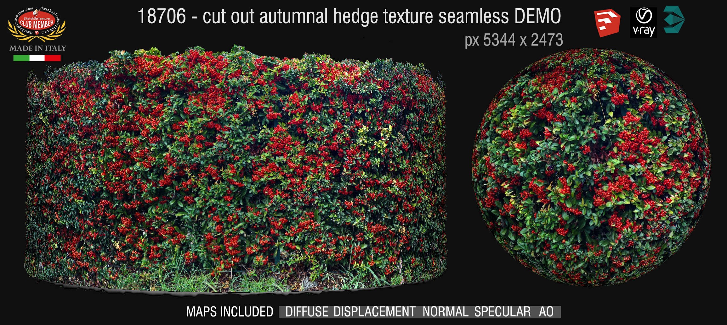 18706 HR Cut out autumnal hedge texture + maps DEMO