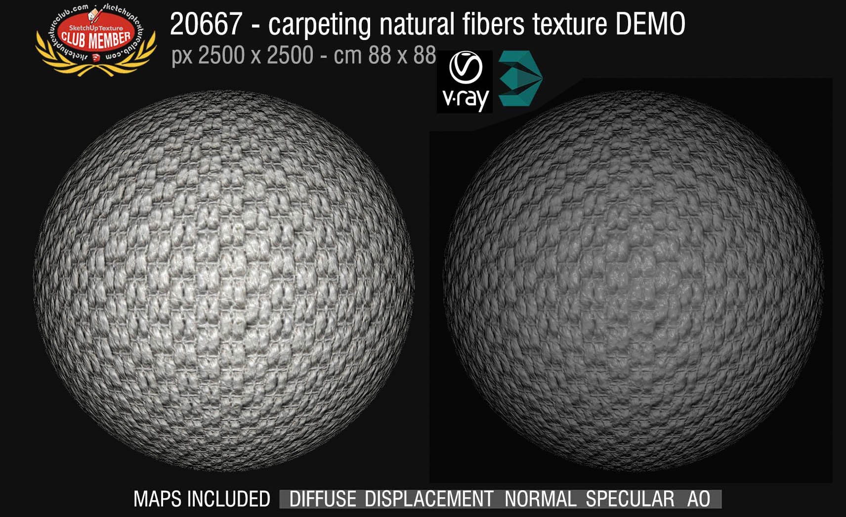 20667 Carpeting natural fibers texture DEMO