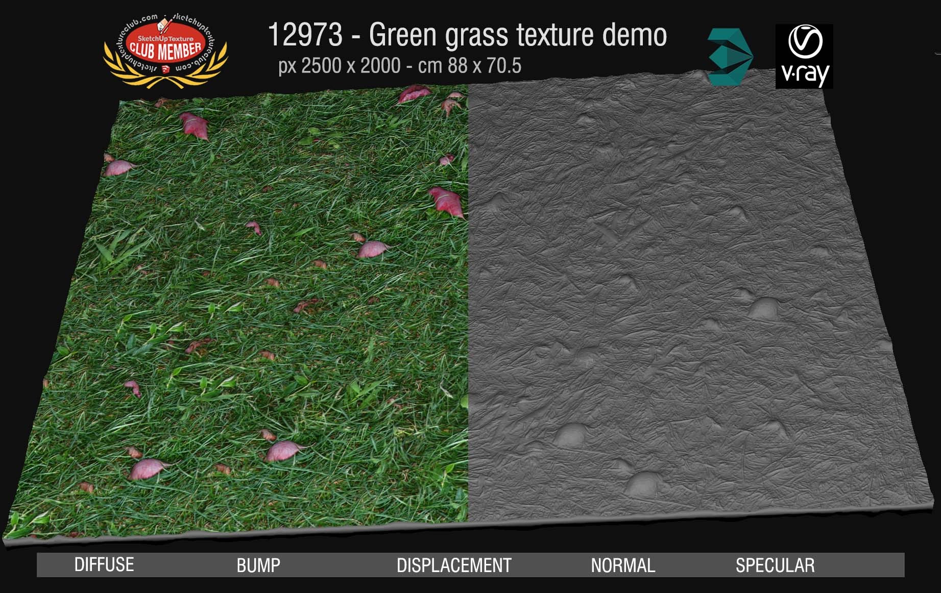 12973 Green grass texture seamless & maps DEMO