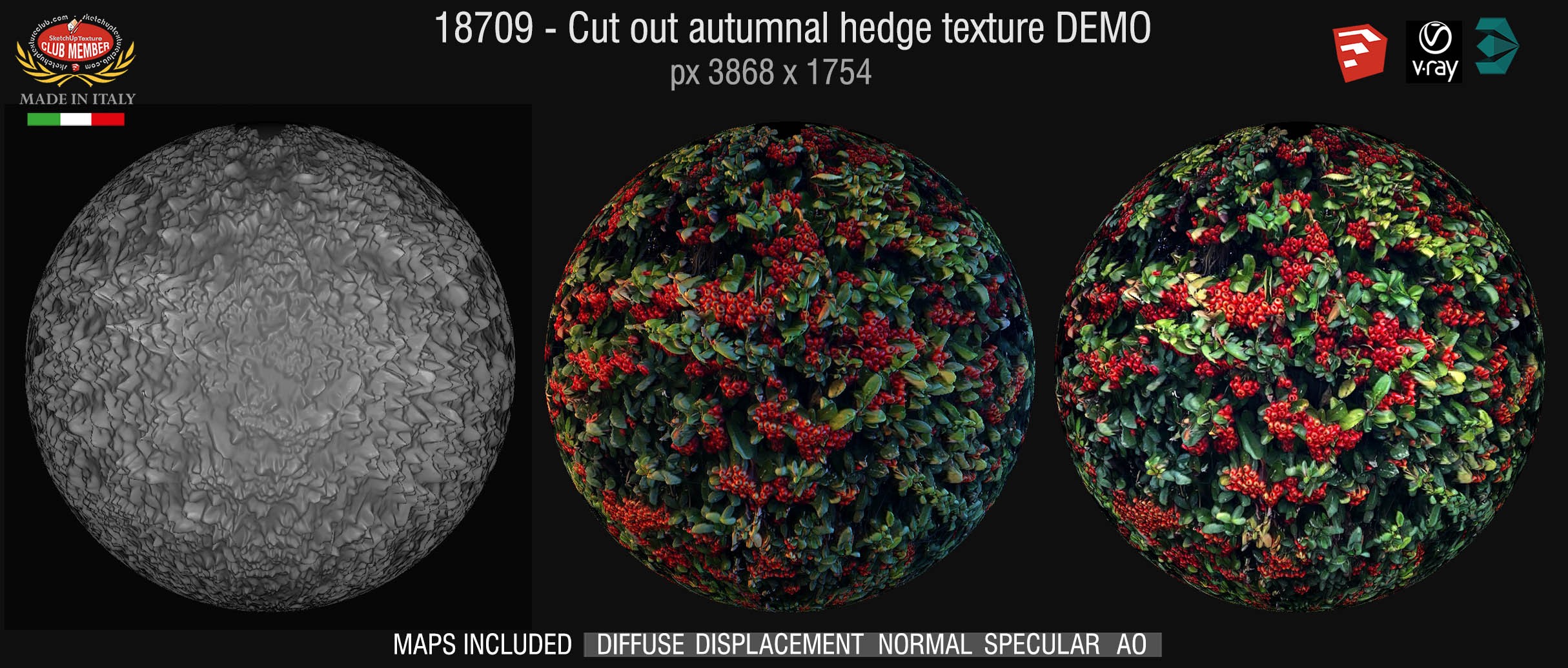 18709 HR Cut out autumnal hedge texture + maps DEMO
