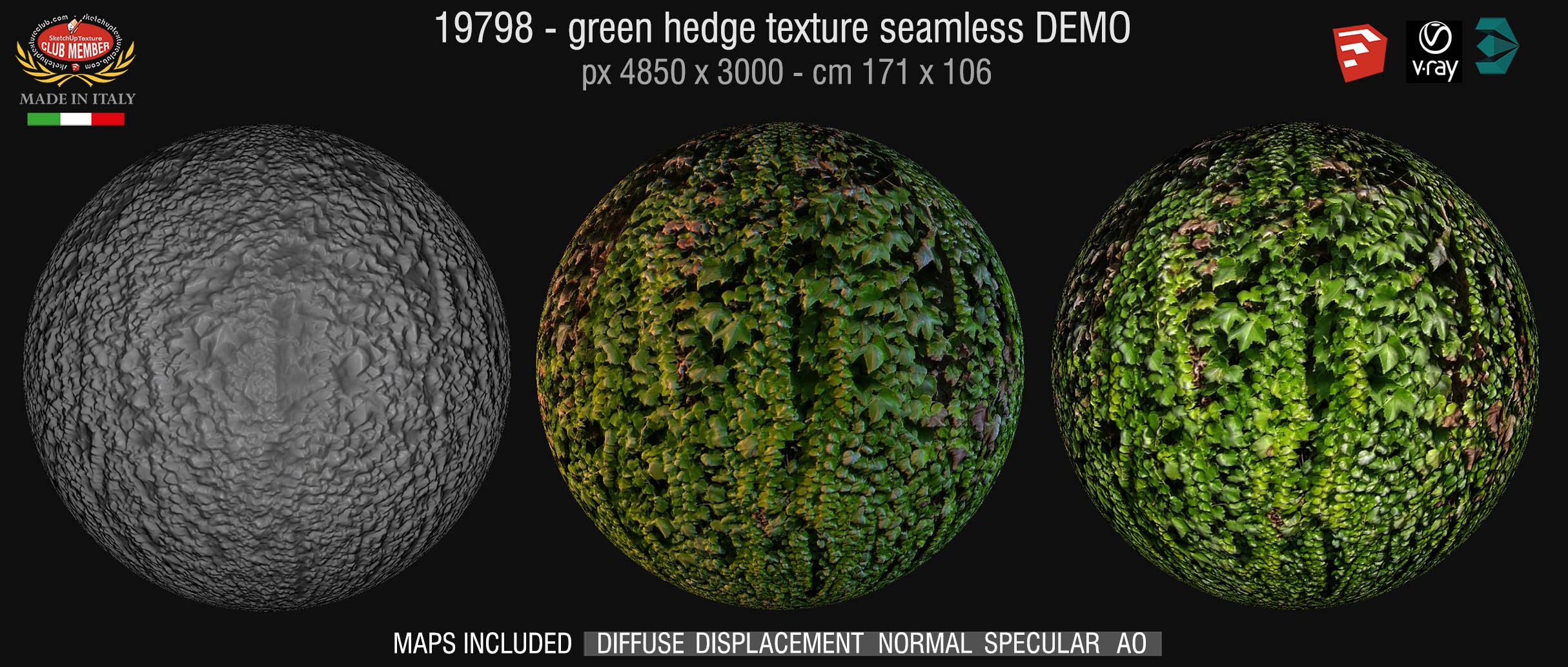 19798  HR seamless green hedge texture + maps demo