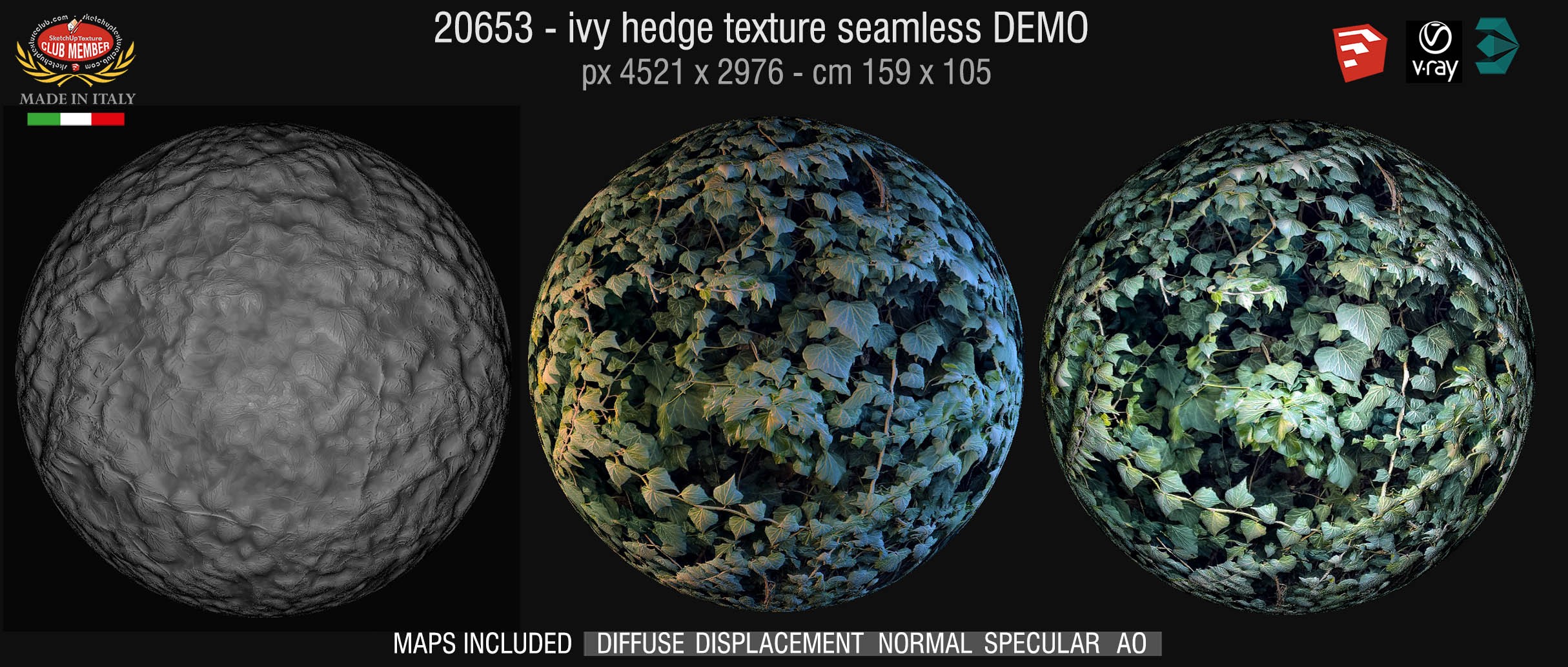20192 HR Ivy hedge texture + maps DEMO