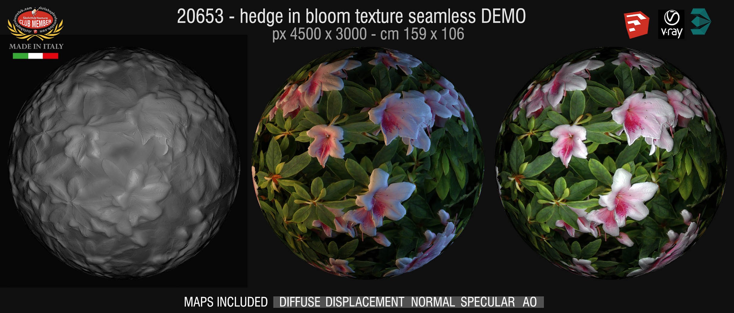 20653 HE Hedge in bloom texture + maps DEMO