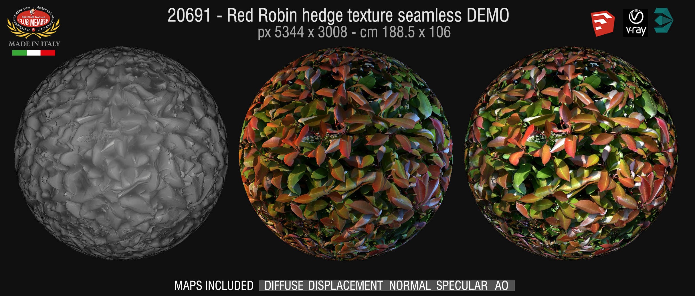 20691 HR Red robin hedge texture + maps DEMO
