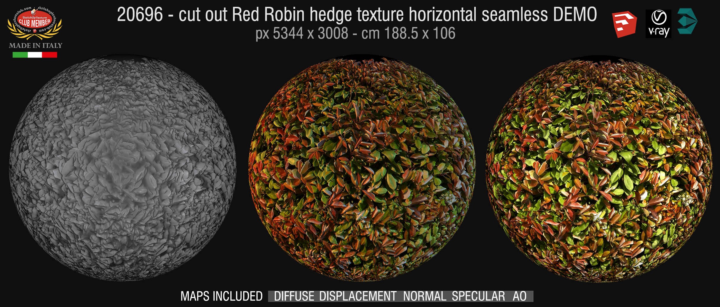 20696 HR Cut out red robin hedge texture + maps DEMO