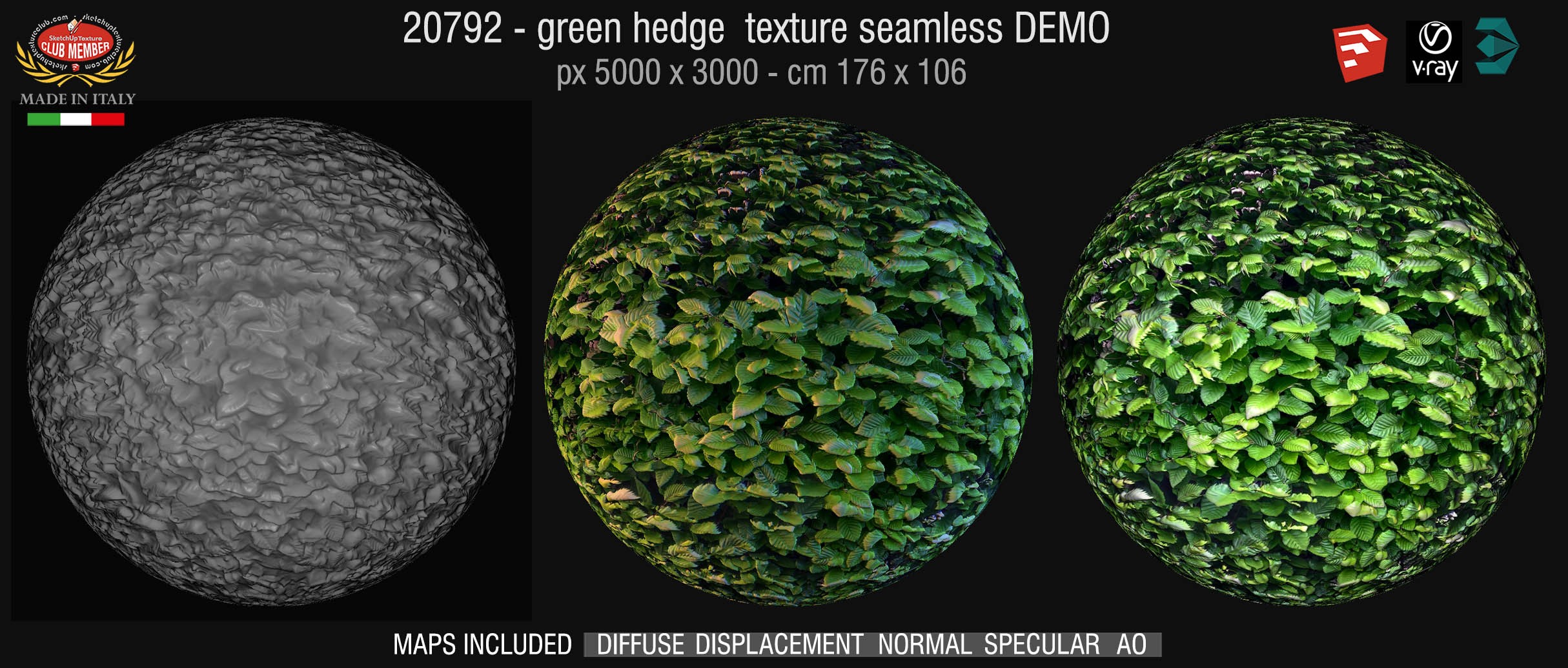 20732 Green hedge texture DEMO