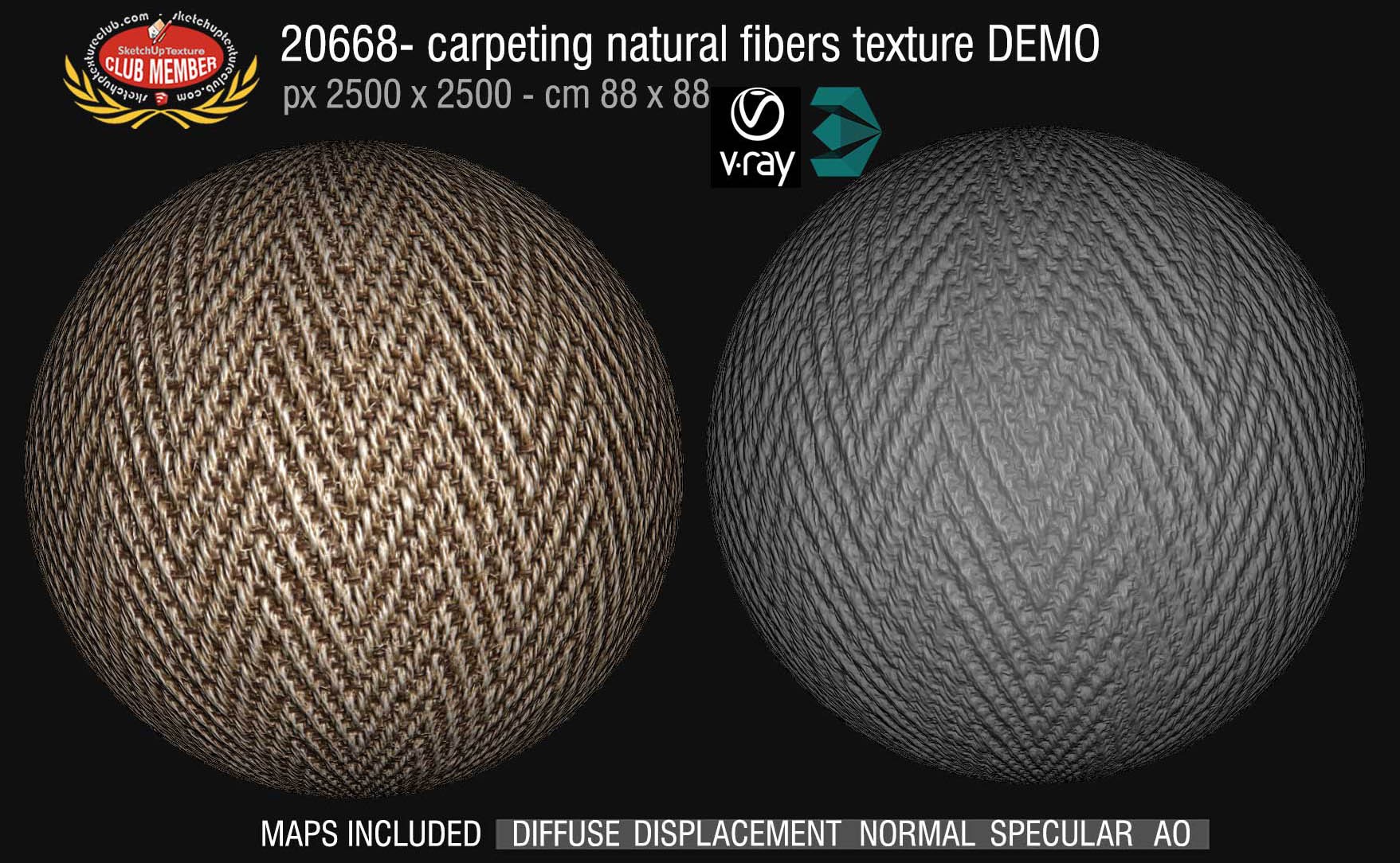20669  Carpeting natural fibers texture DEMO