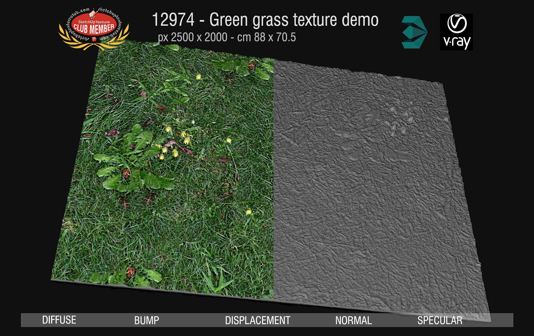 12974 Green grass texture seamless & maps DEMO