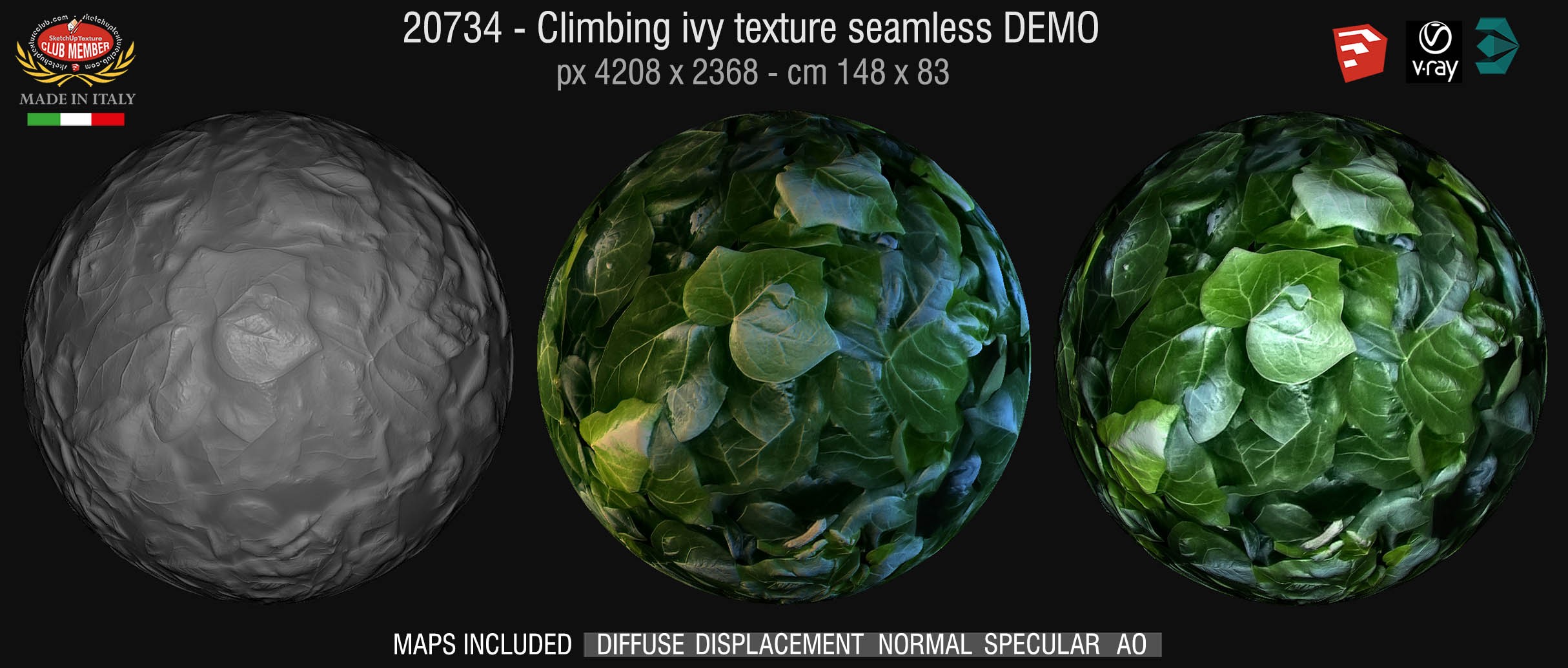 20734 Ivy hedge texture and maps DEMO