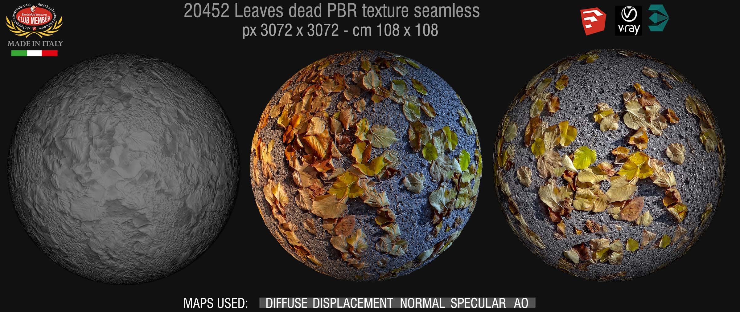 20542 Leaves dead on the asphalt texture seamless DEMO