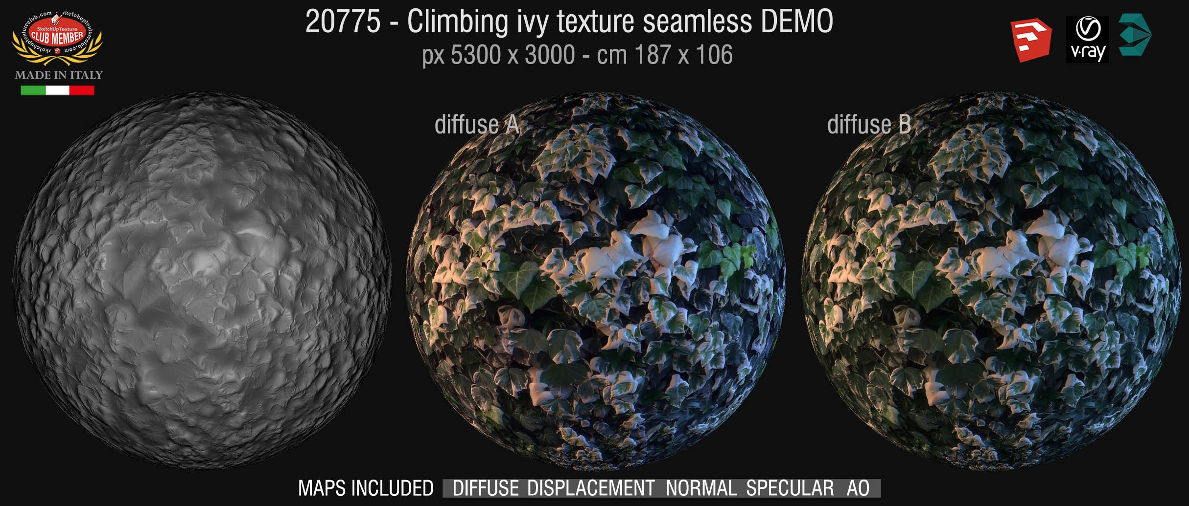 20775 Climbing ivy texture & maps DEMO