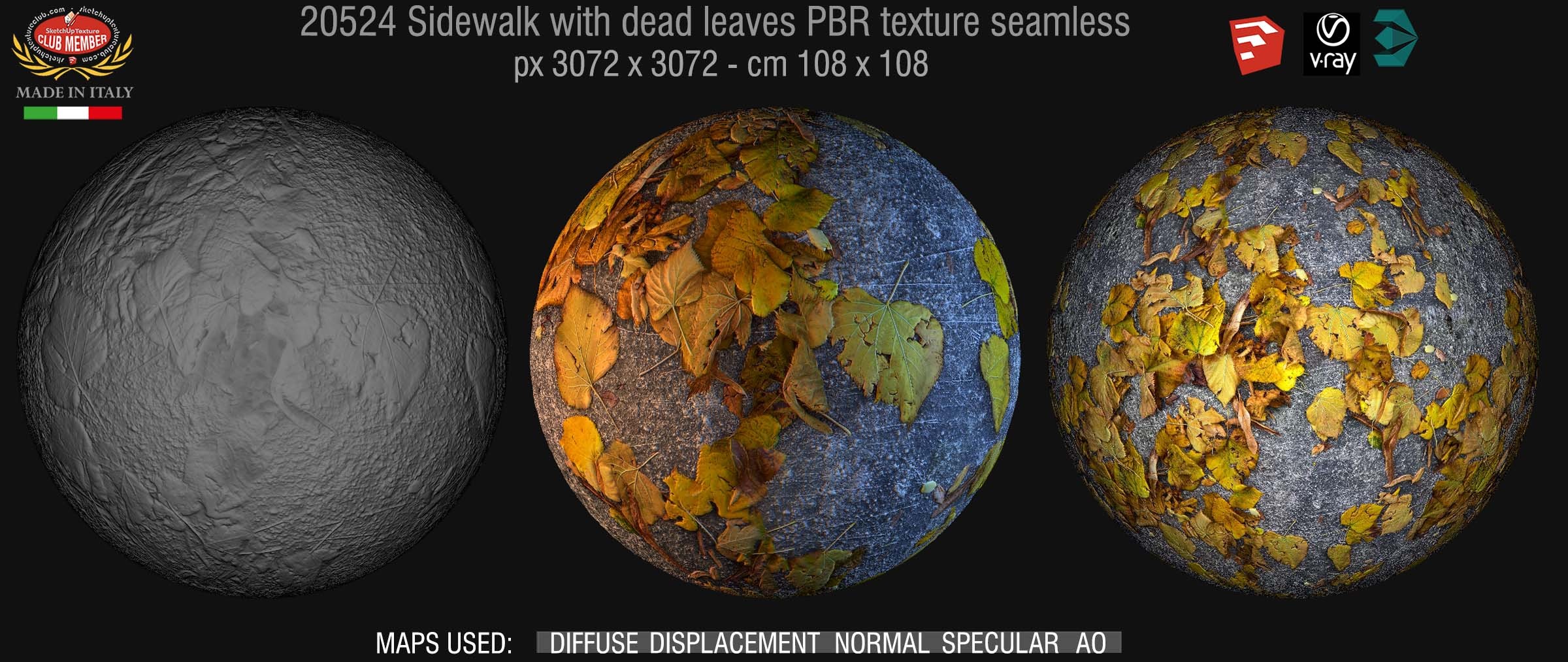 20524 Sidewalk with dead leaves PBR texture seamless DEMO