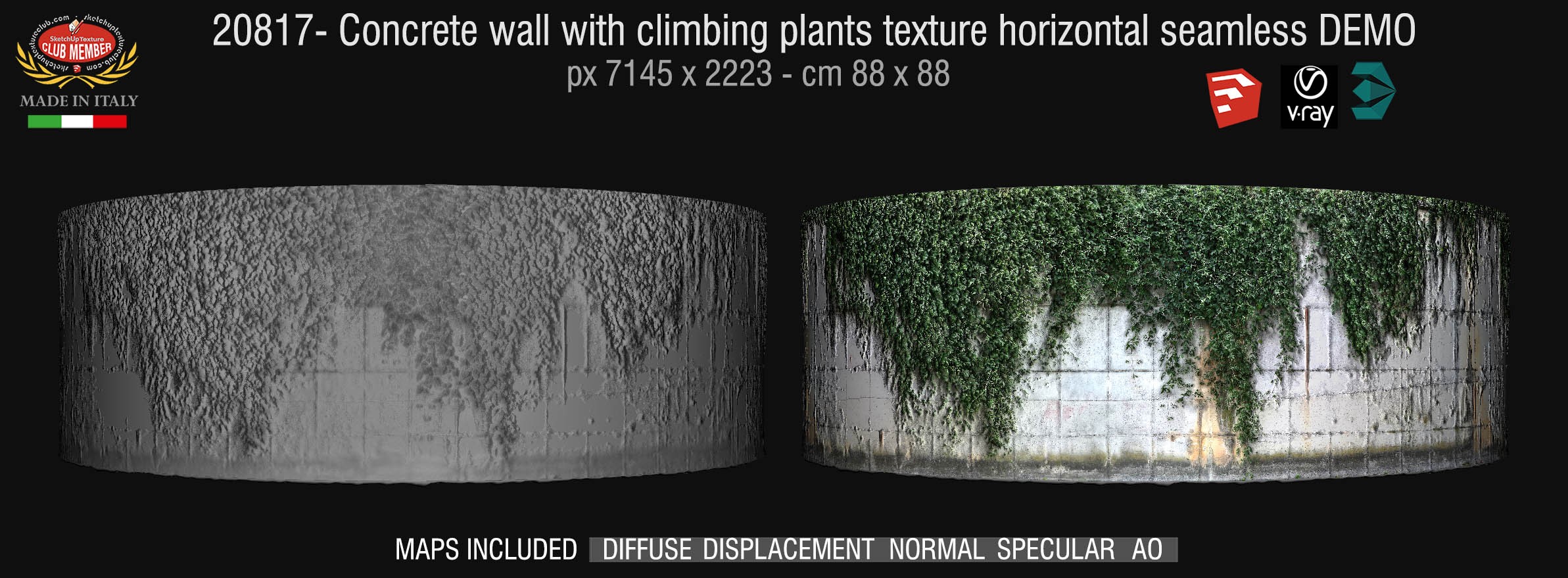 20817 HR Concrete wall with climbing plants texture horizontal seamless and Maps DEMO