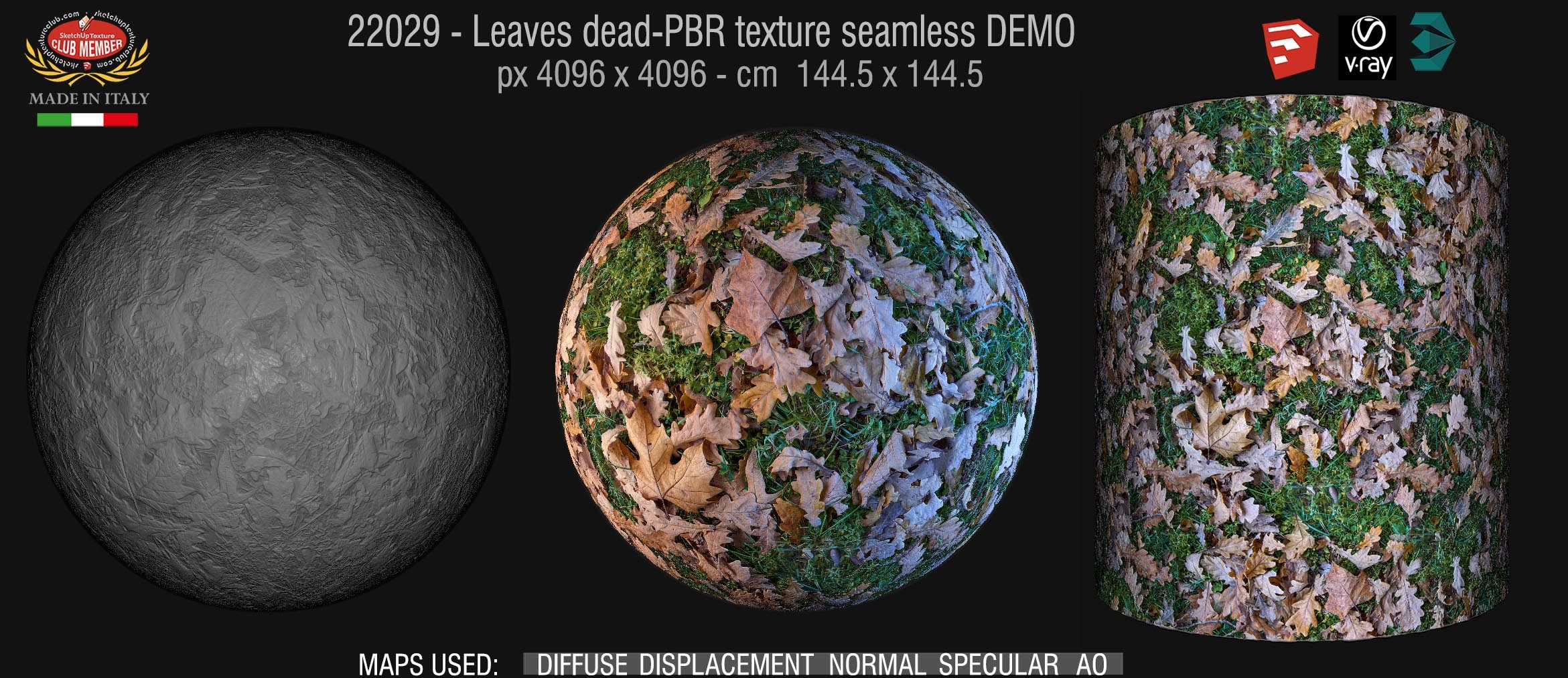 22029 Leaves dead-PBR texture seamless DEMO