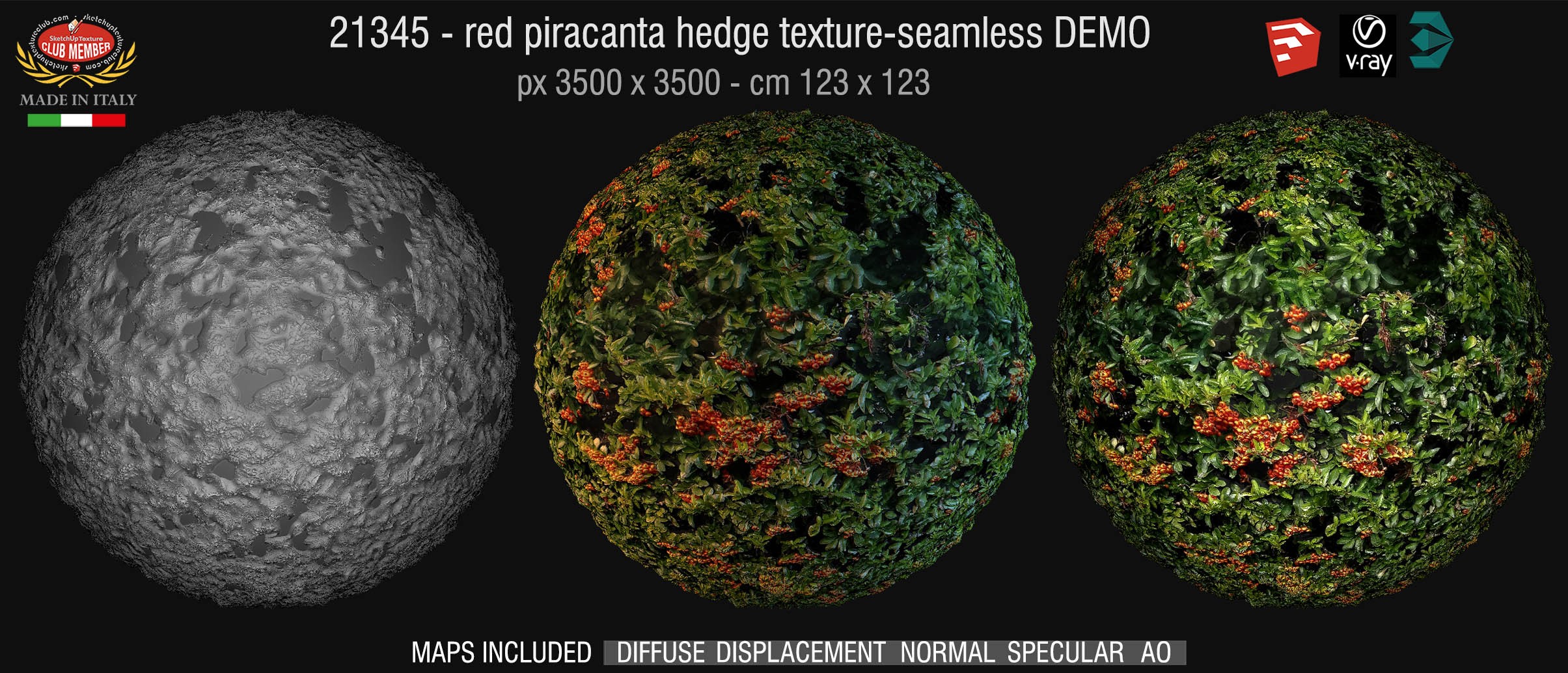 21345 HR red piracanta hedge texture + maps DEMO