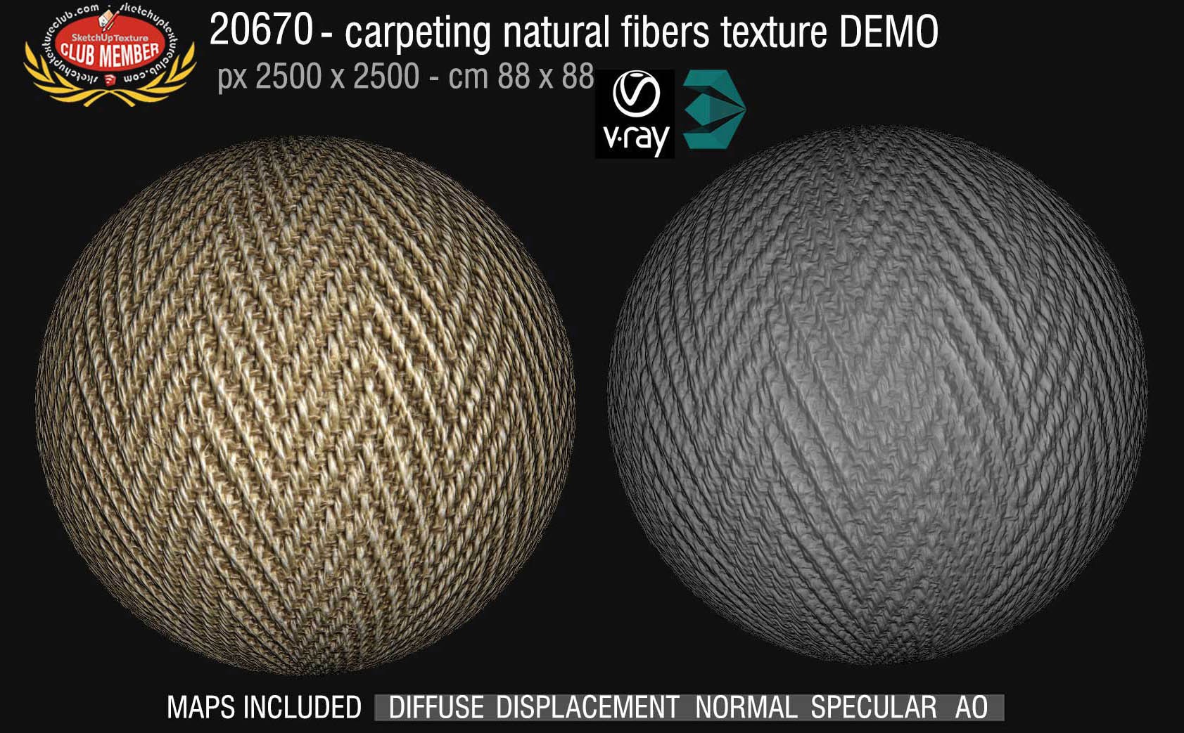 20670 Carpeting natural fibers texture DEMO