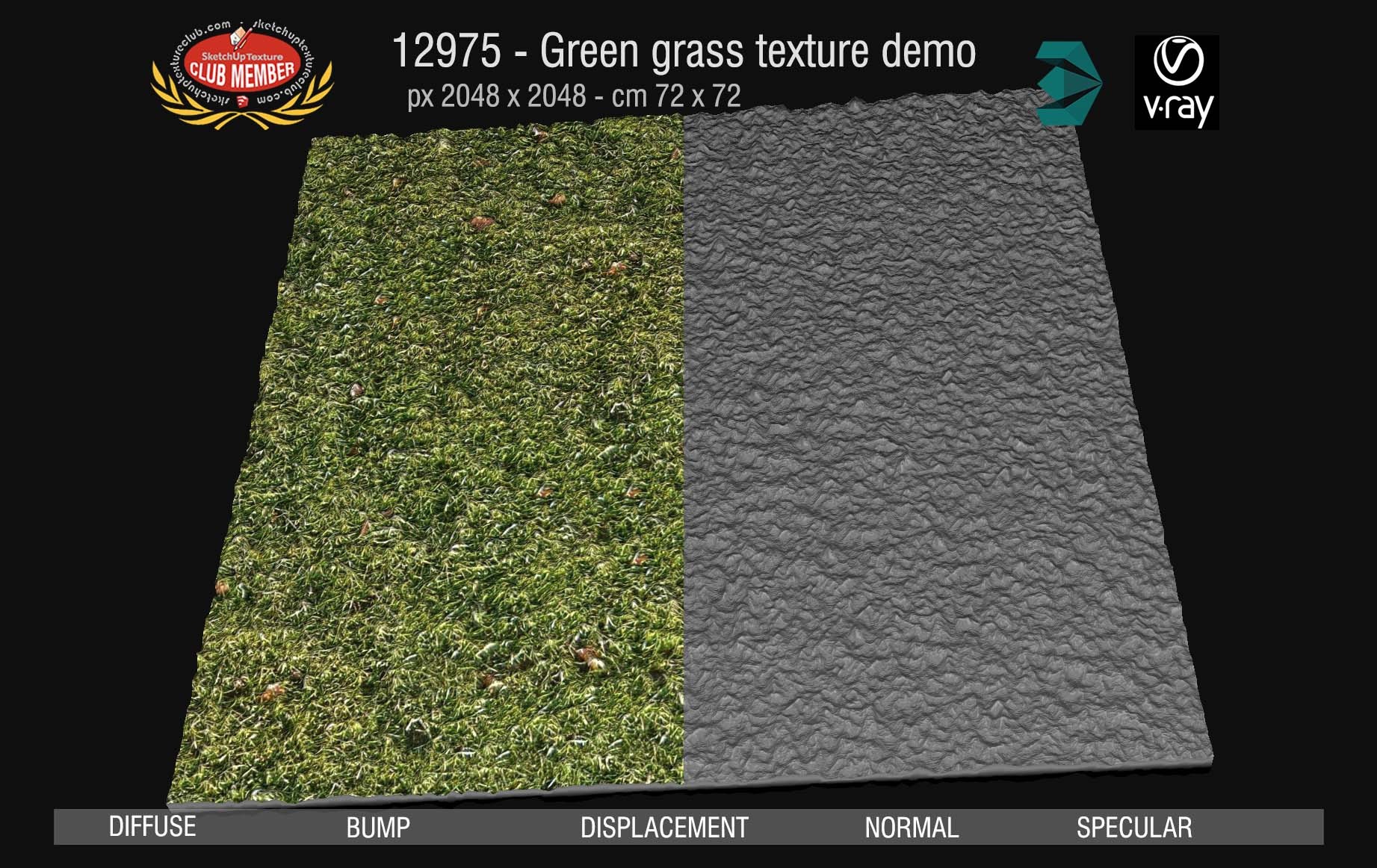 12975 Green grass texture seamless & maps DEMO