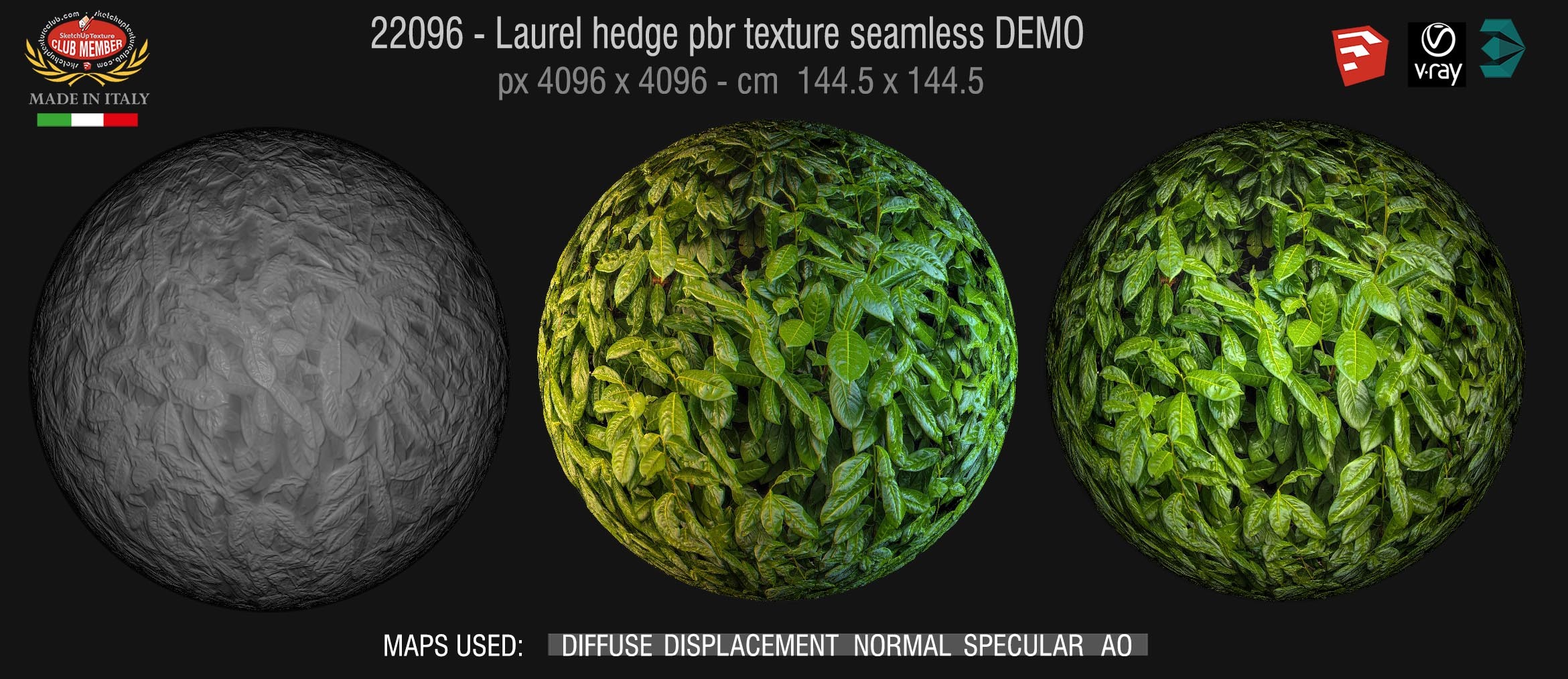 22096/91 Laurel hedge pbr texture seamless DEMO