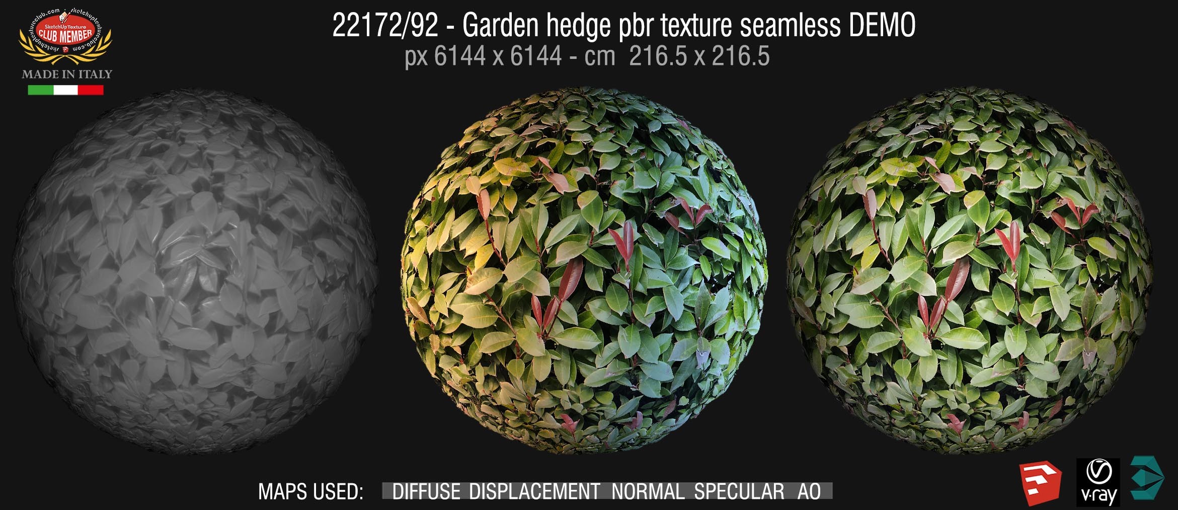 22172/92 Garden hedge pbr texture seamless demo