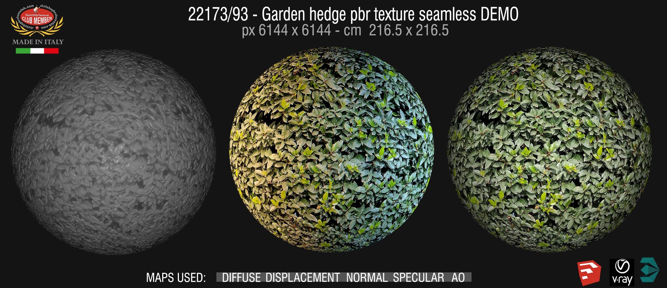 22173/93 Garden hedge pbr texture seamless DEMO